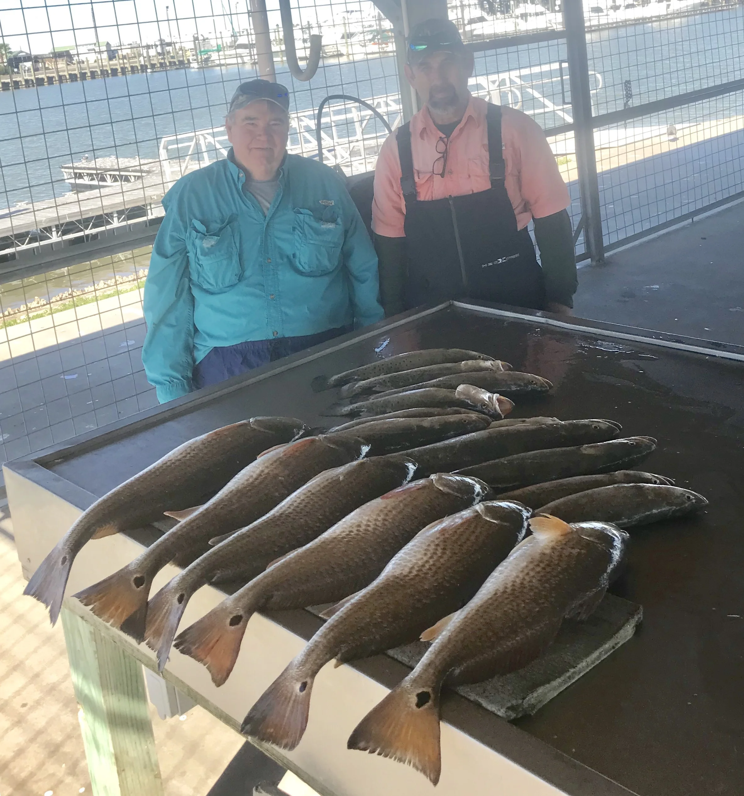 Fishing Report 12/12/2017