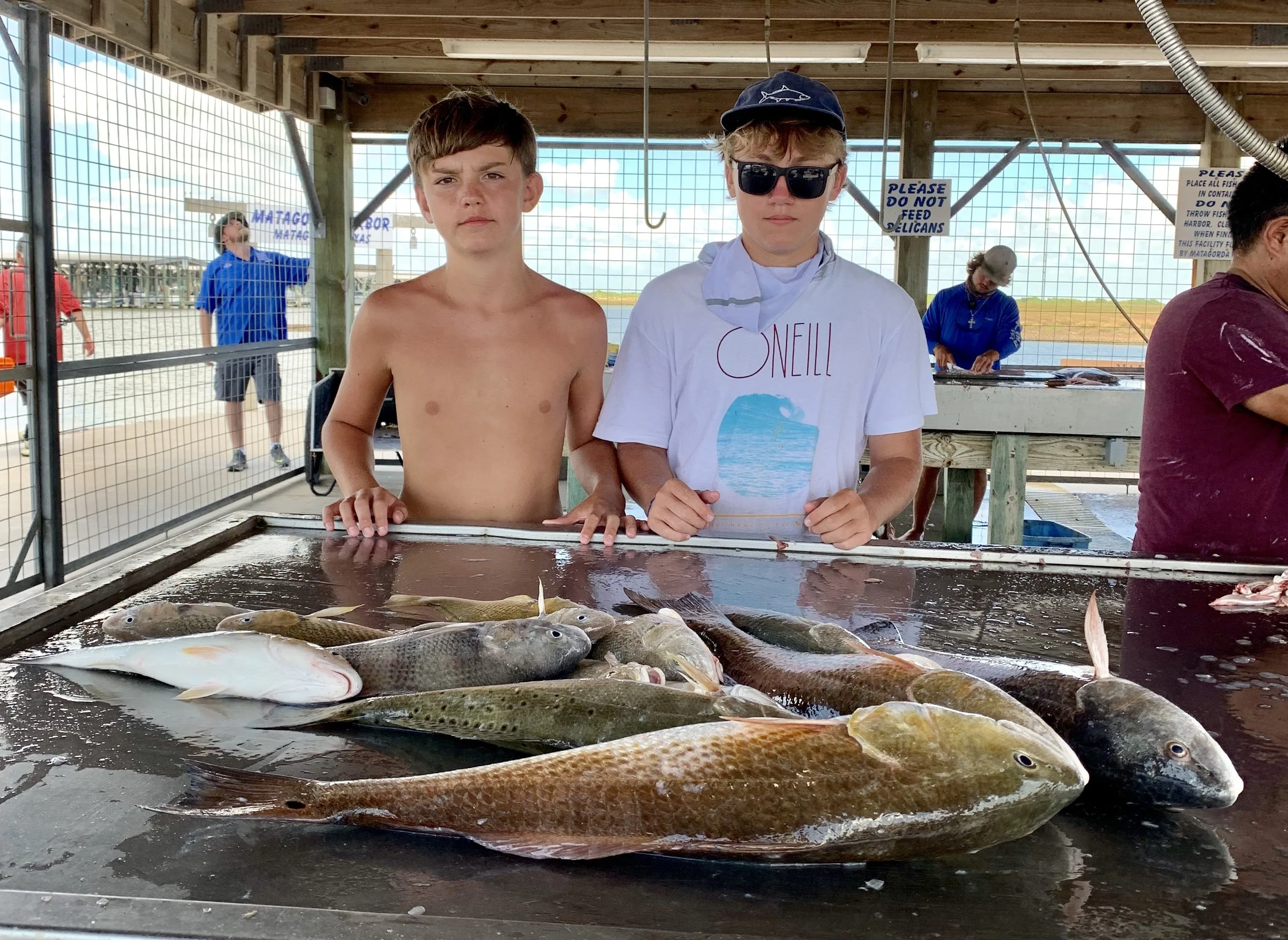 Fishing Report 8/17/2019