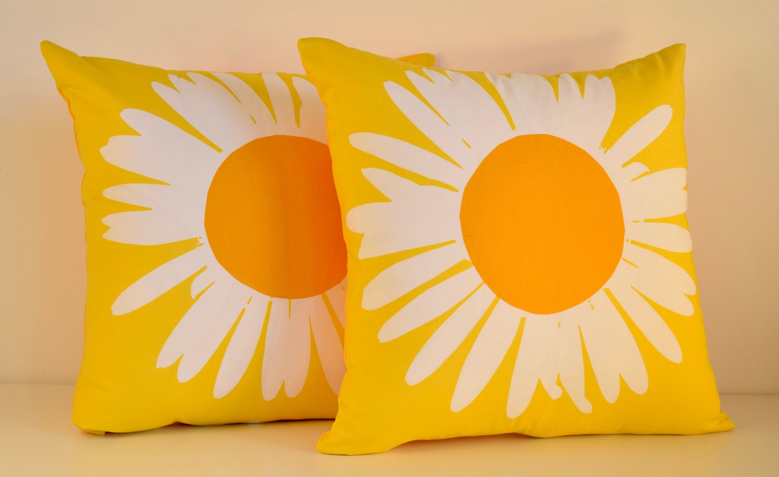 https://i.etsystatic.com/5734807/r/il/3d4b20/4875269518/il_fullxfull.4875269518_mfur.jpg