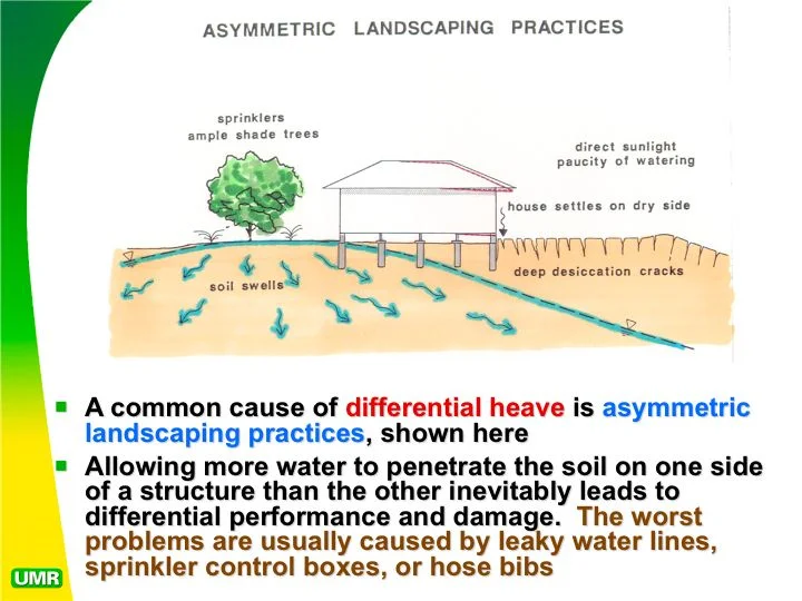 Planting Trees and Foundation Damage