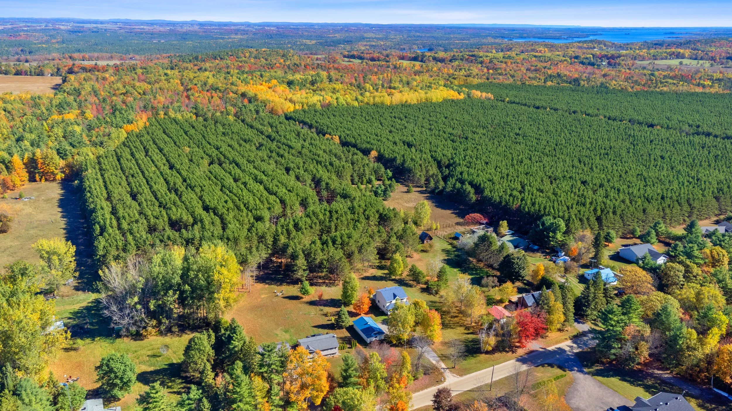 DJI_0490.jpg
