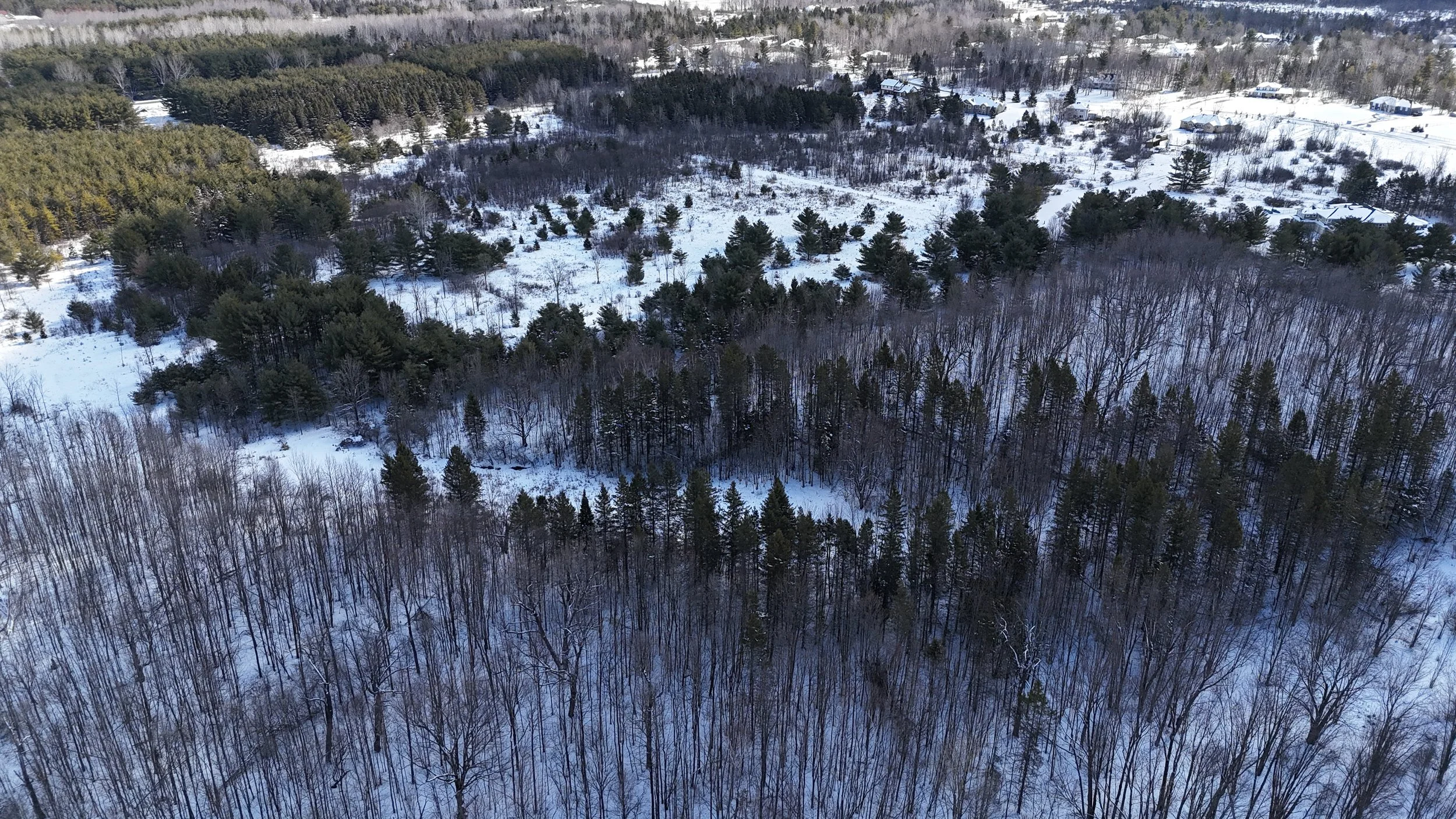 dji_fly_20260321_112330_0358_1774109475994_photo.jpg