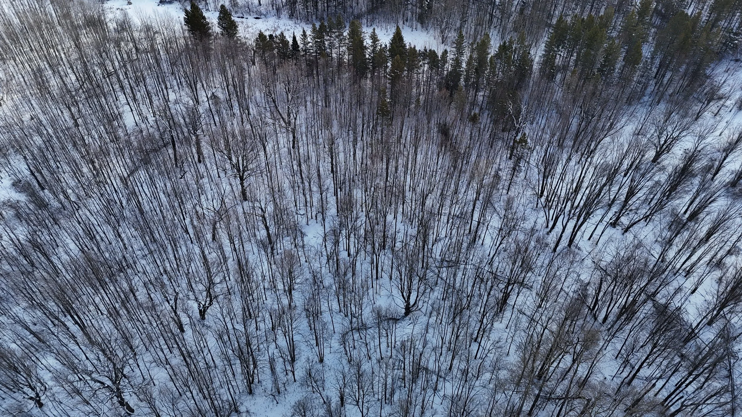 dji_fly_20260321_112334_0359_1774109475603_photo.jpg