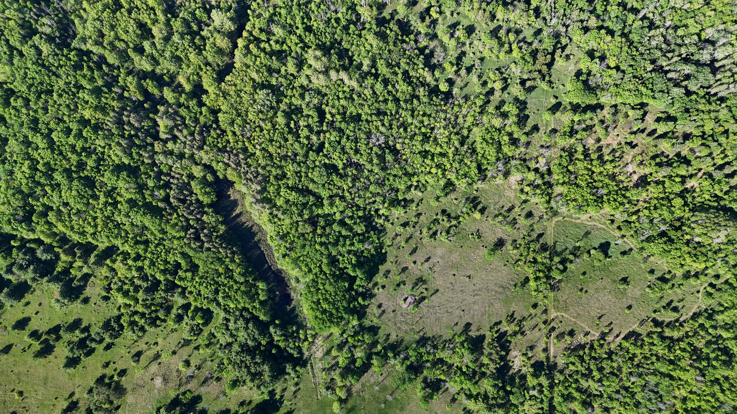 dji_fly_20260530_090130_0483_1780156825558_photo.jpg