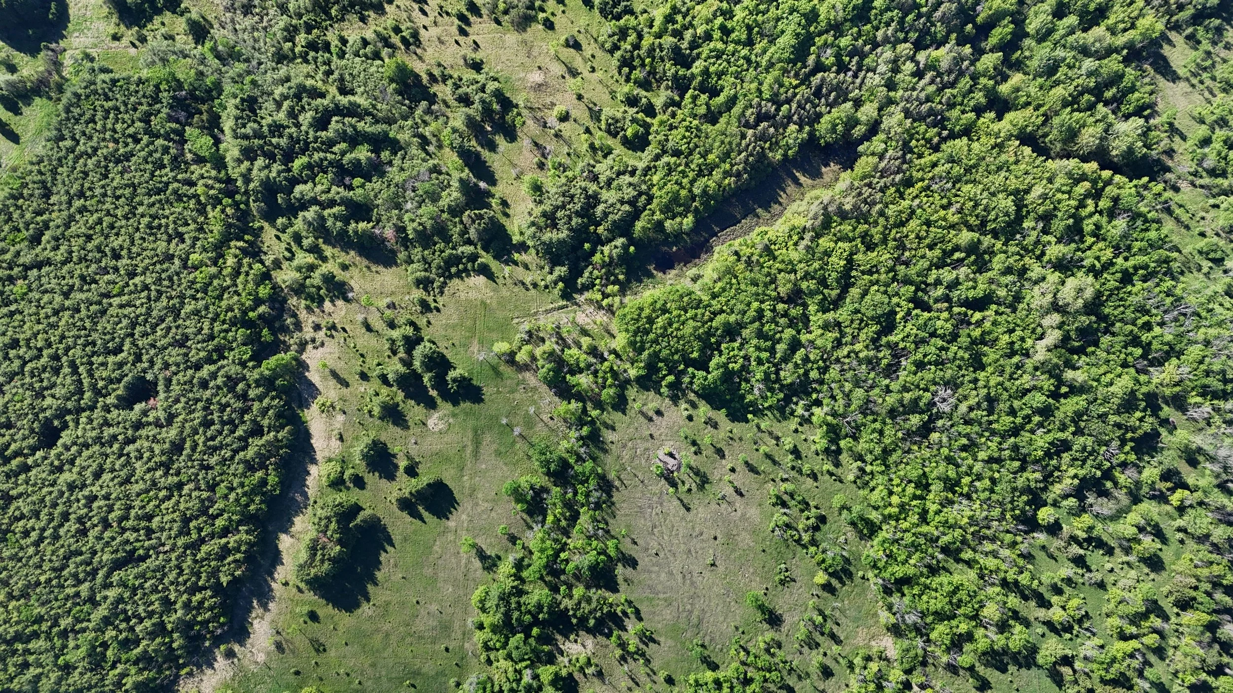 dji_fly_20260530_090116_0481_1780156825629_photo.jpg