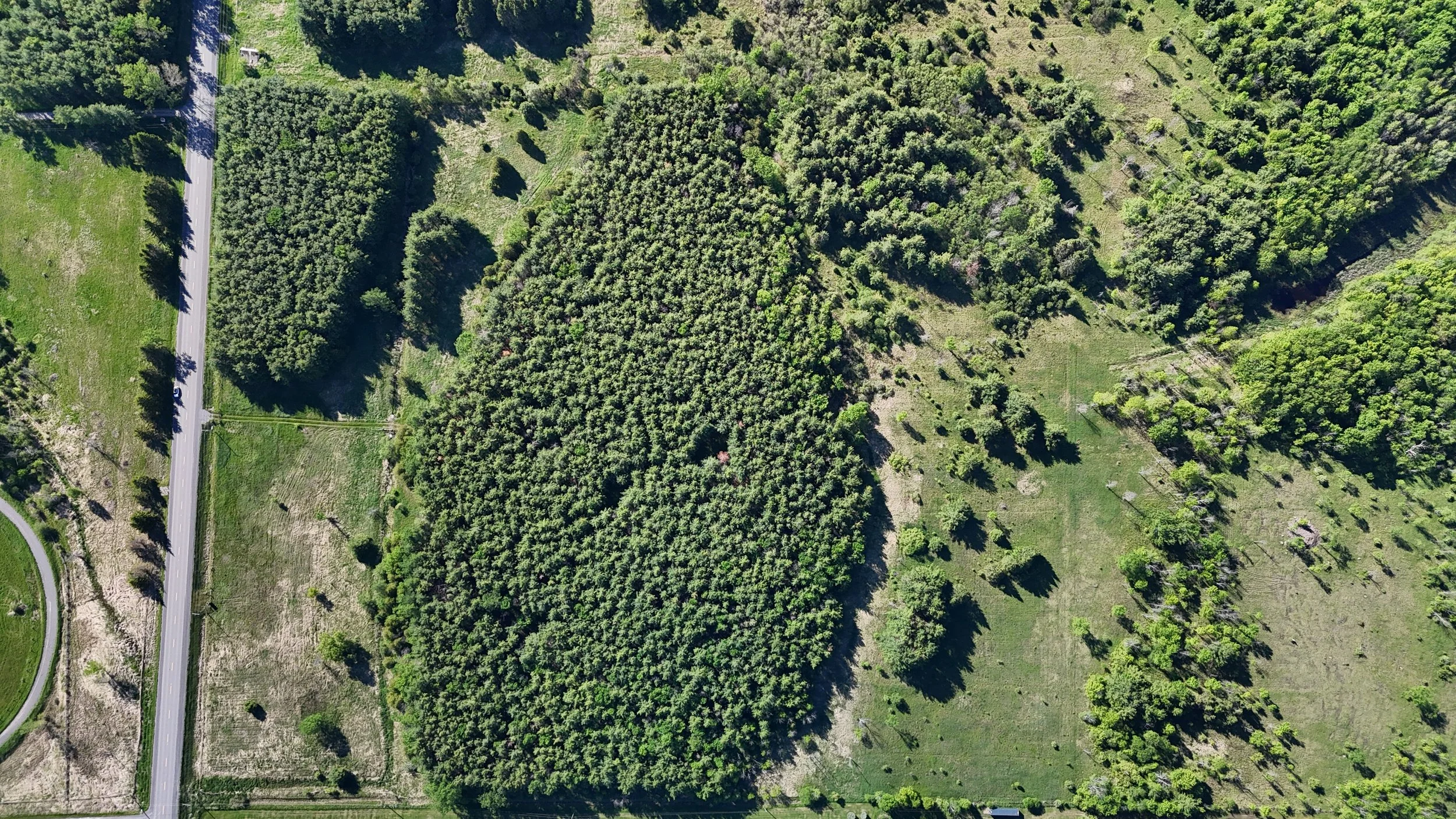 dji_fly_20260530_090050_0479_1780156826447_photo.jpg