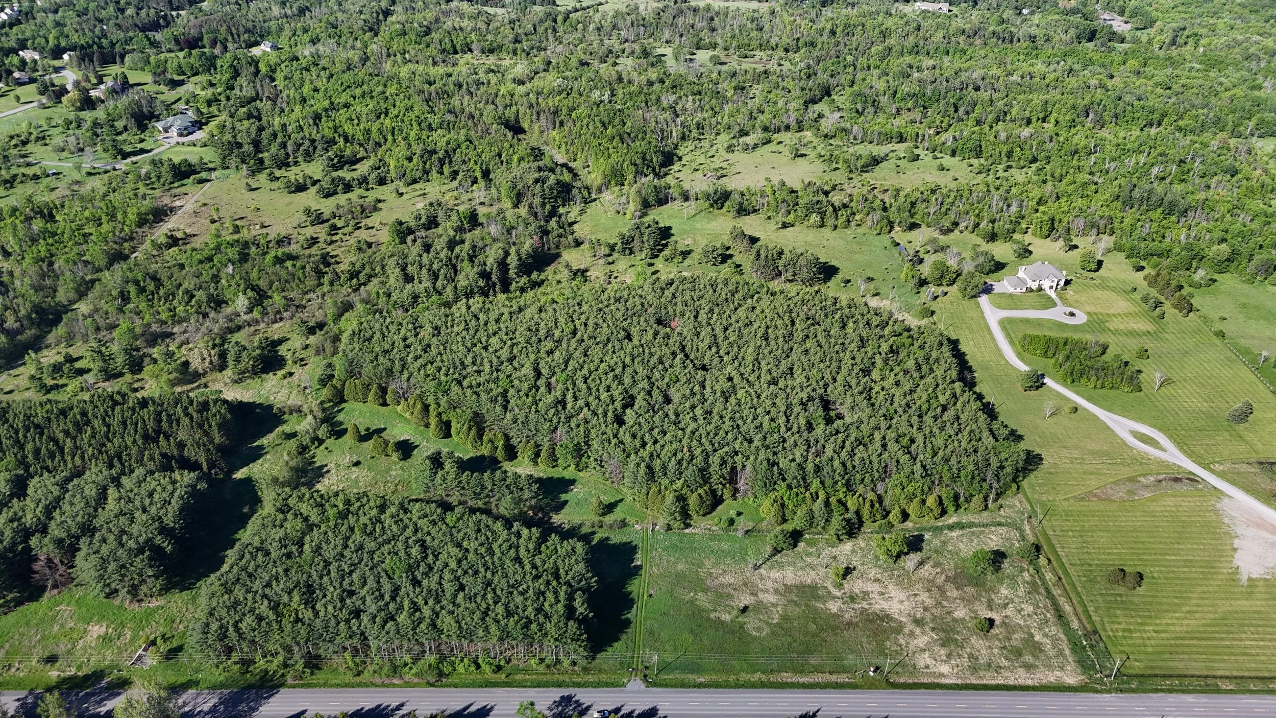 dji_fly_20260530_085704_0467_1780156859142_photo.jpg
