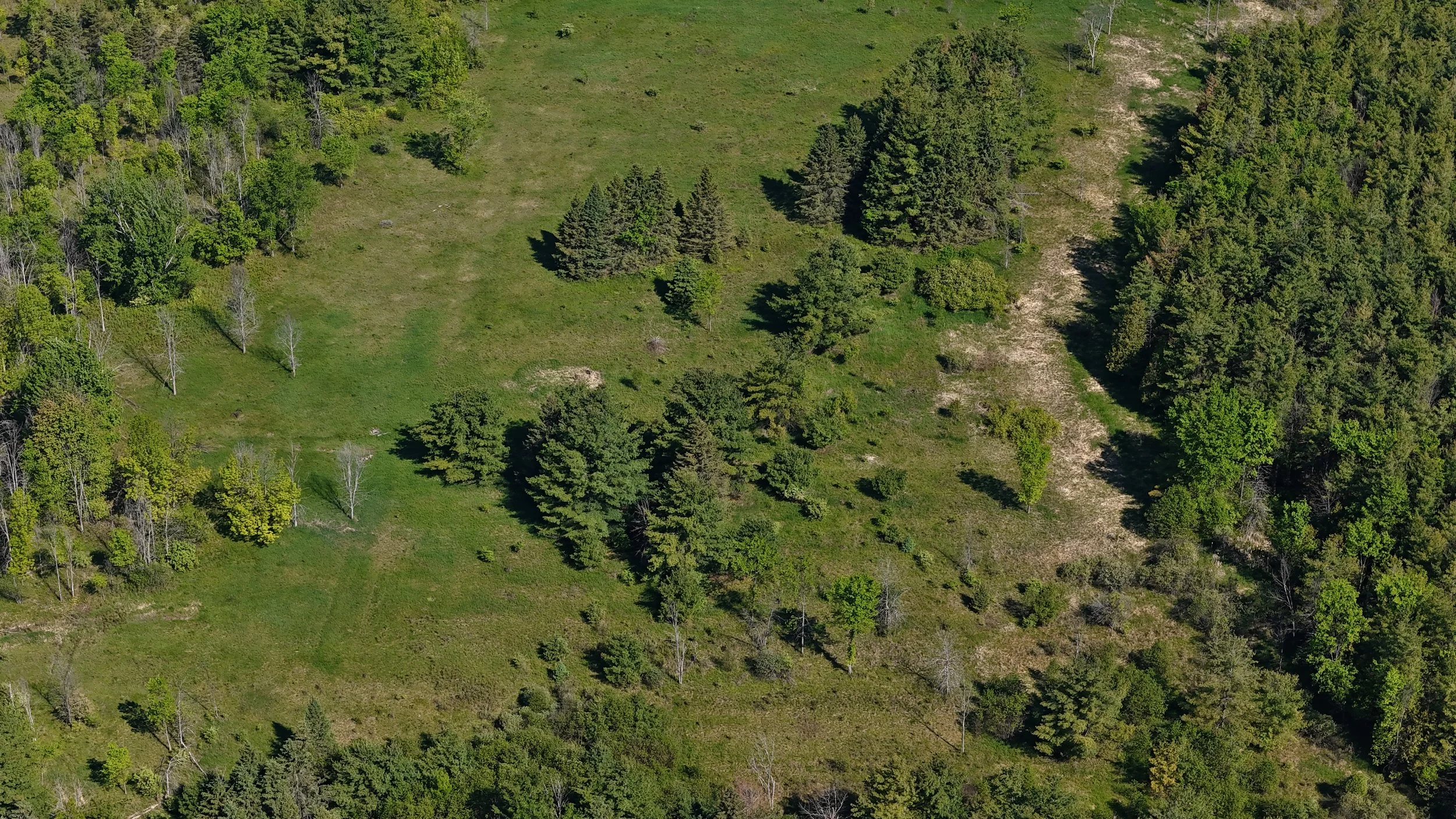 dji_fly_20260530_094814_0597_1780156196329_photo.jpg