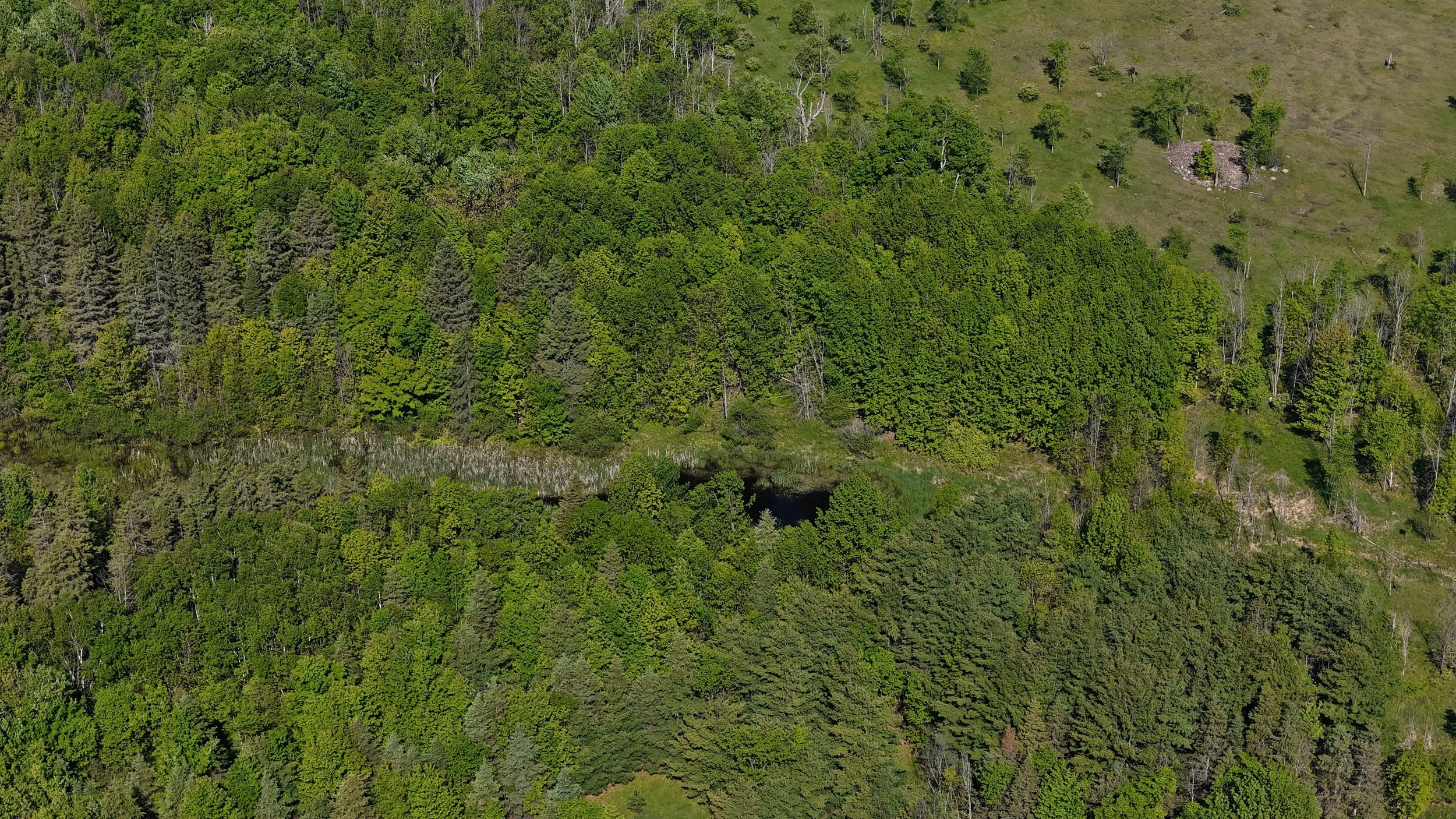 dji_fly_20260530_094828_0600_1780156195144_photo.jpg
