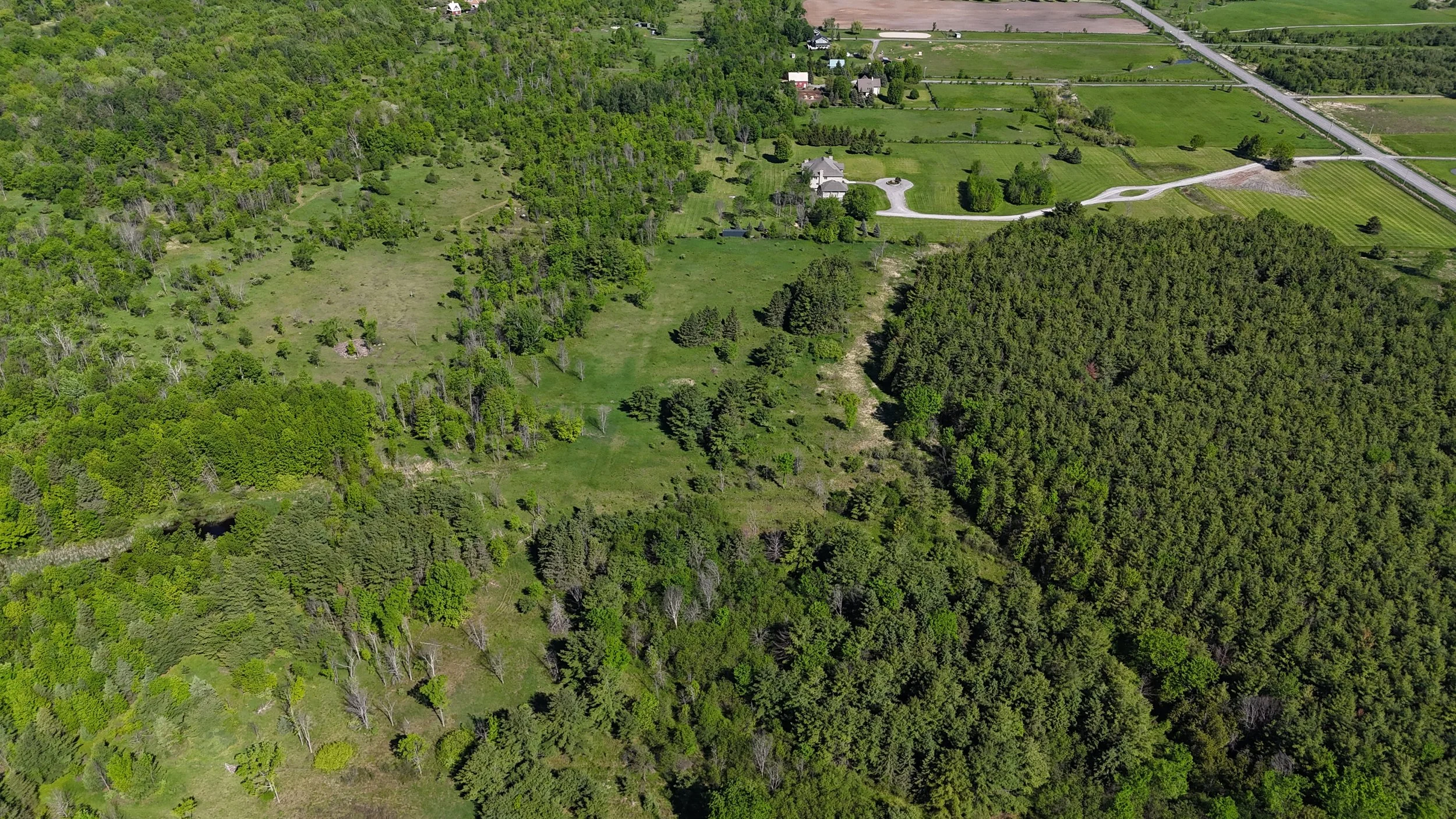 dji_fly_20260530_094834_0601_1780156194708_photo.jpg