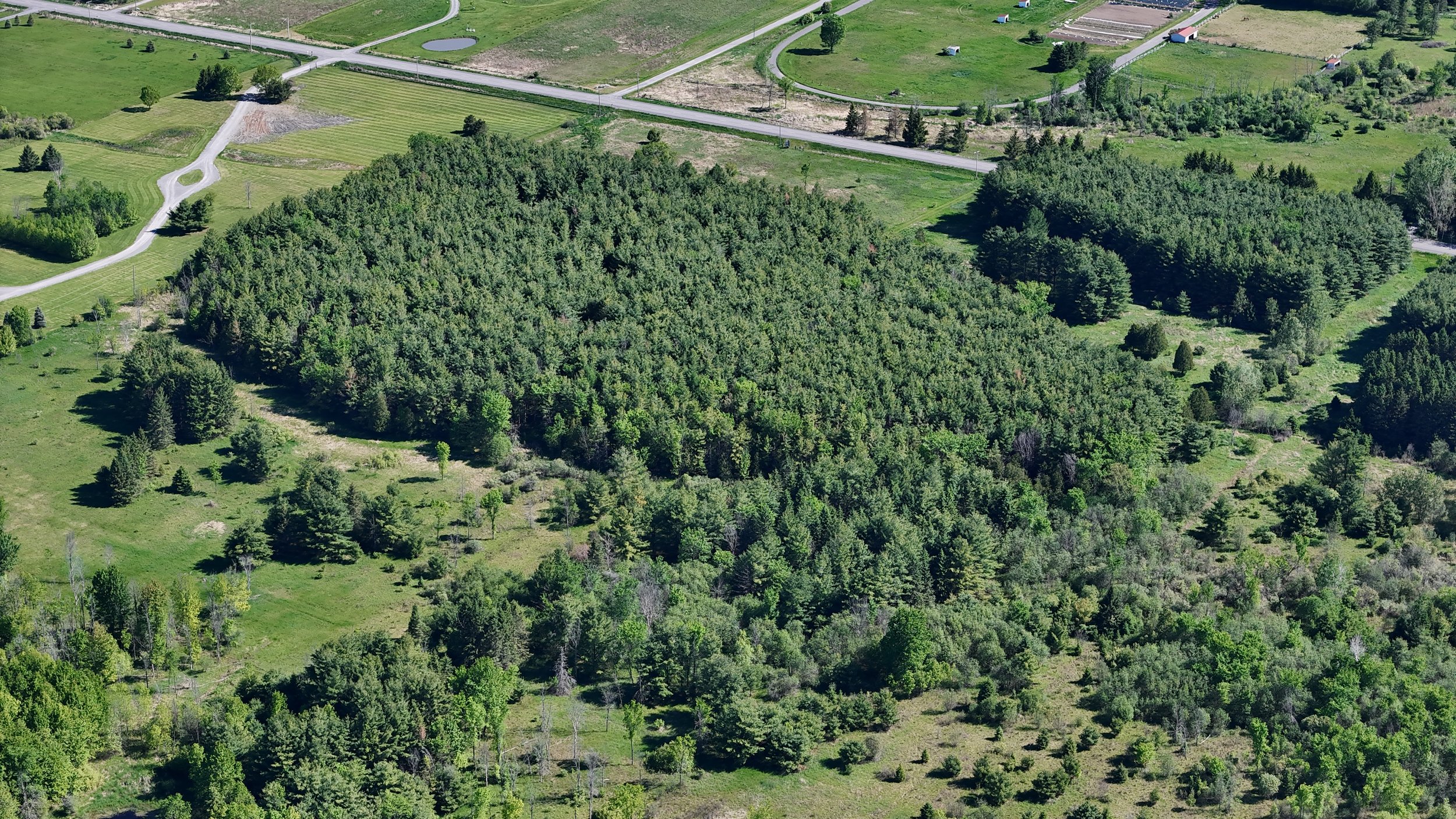 dji_fly_20260530_095124_0619_1780156170897_photo.jpg