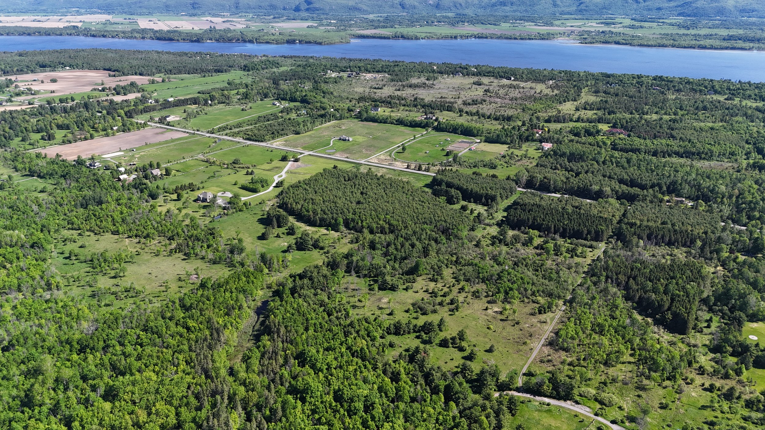 dji_fly_20260530_095128_0620_1780156170471_photo.jpg