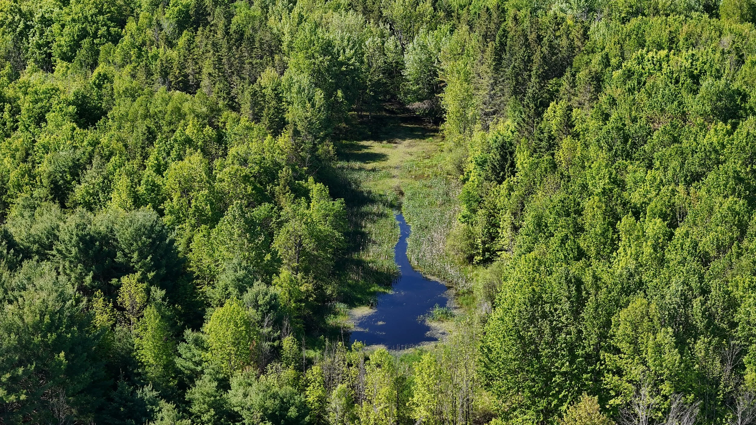 dji_fly_20260530_100314_0638_1780156015840_photo.jpg