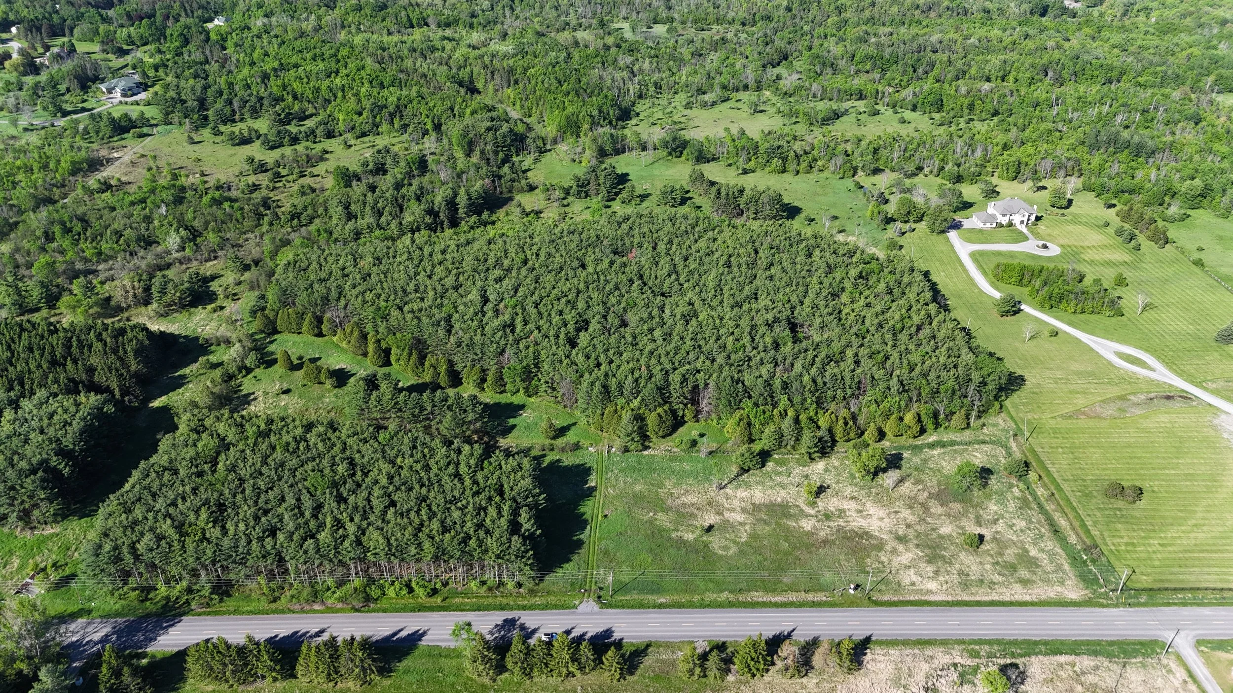 dji_fly_20260530_085656_0466_1780156859148_photo.jpg