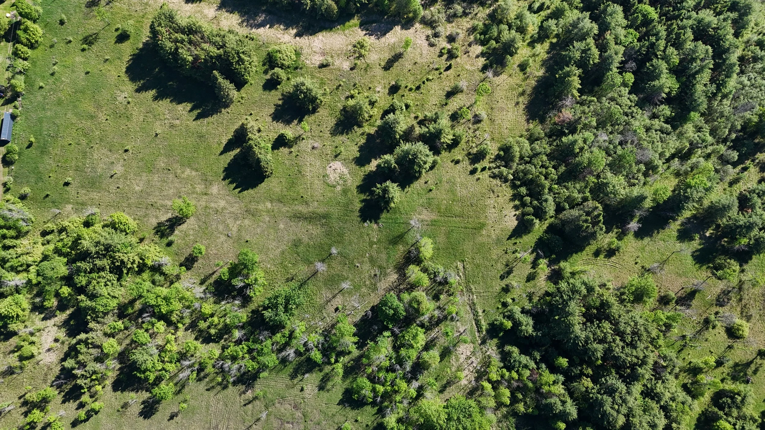 dji_fly_20260530_092018_0525_1780156587057_photo.jpg