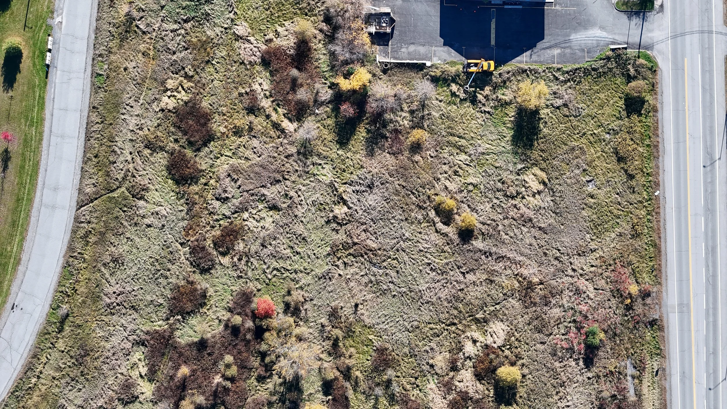 dji_fly_20261018_103818_0782_1792338604567_photo.jpg