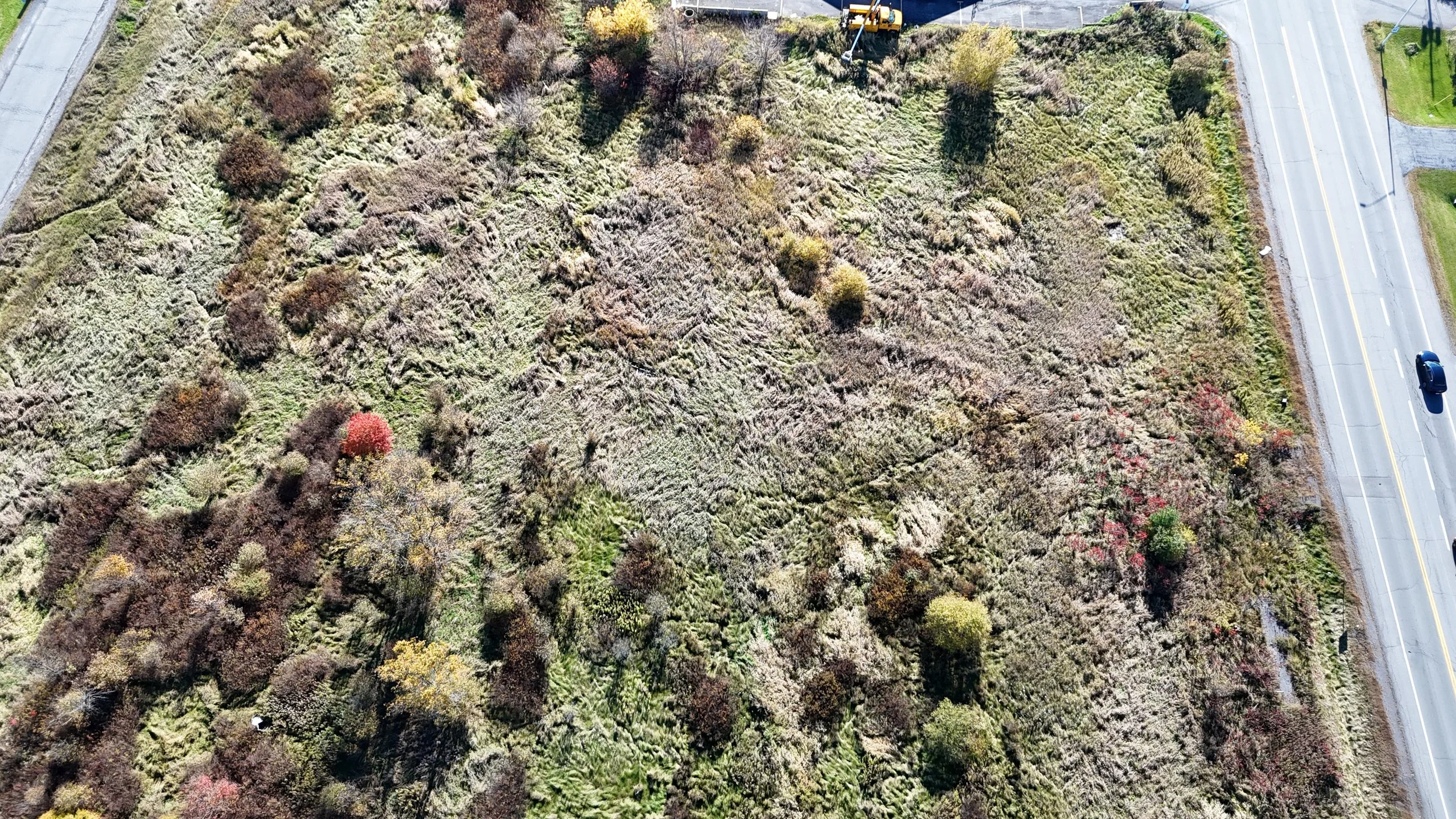 dji_fly_20261018_103730_0777_1792338606746_photo.jpg