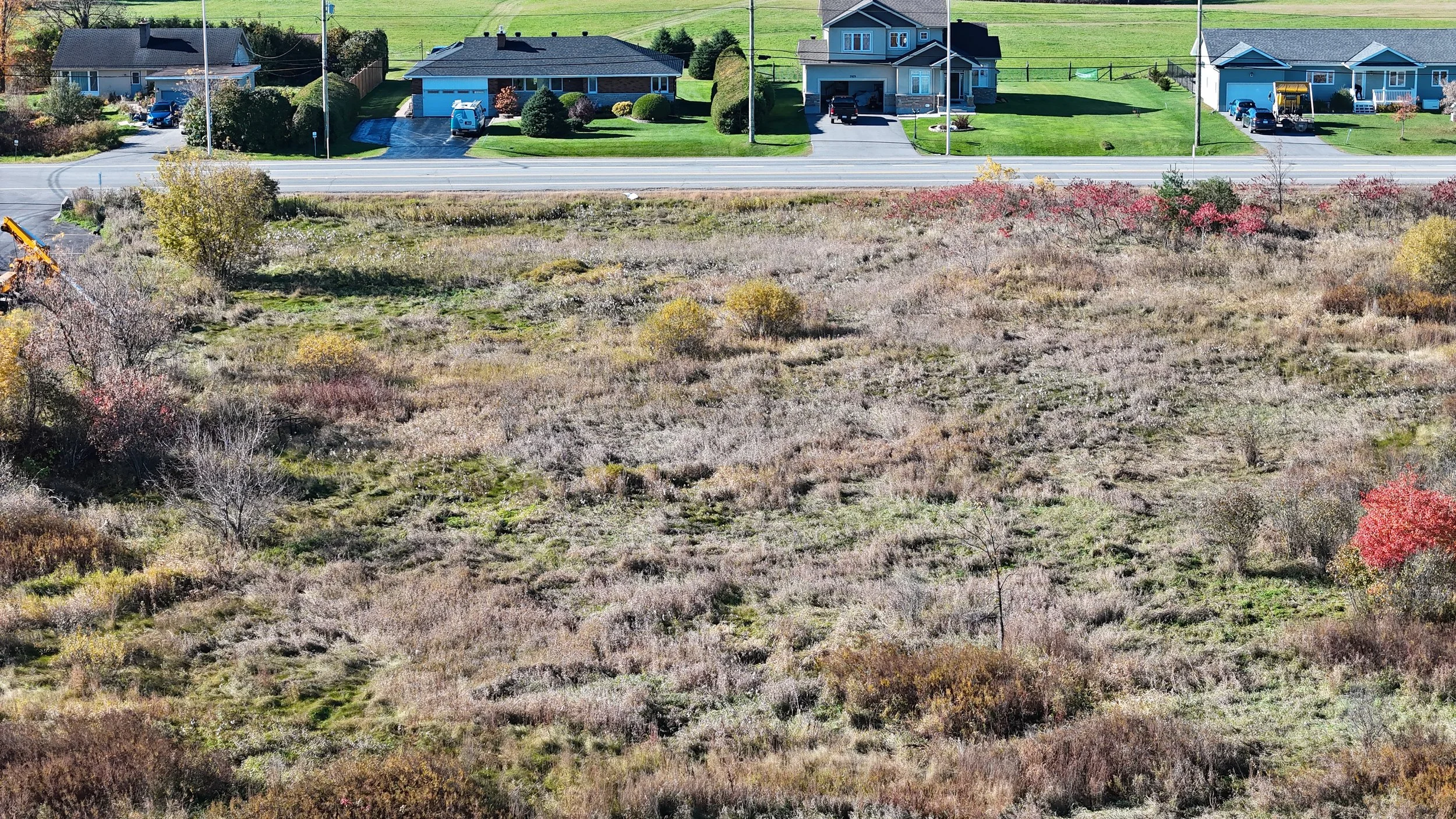 dji_fly_20261018_104522_0807_1792338002151_photo.jpg