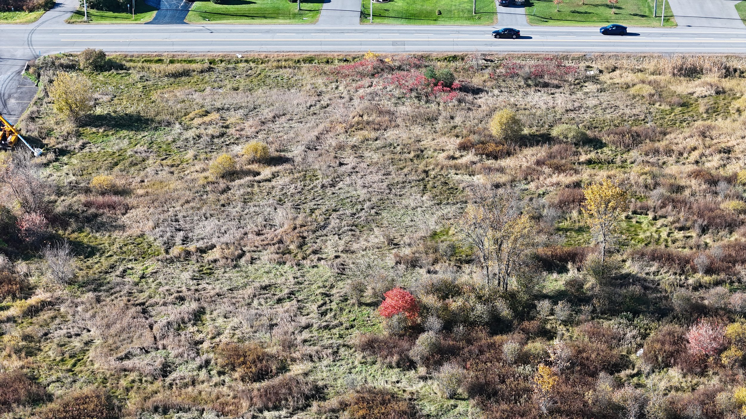 dji_fly_20261018_103528_0770_1792338609831_photo.jpg