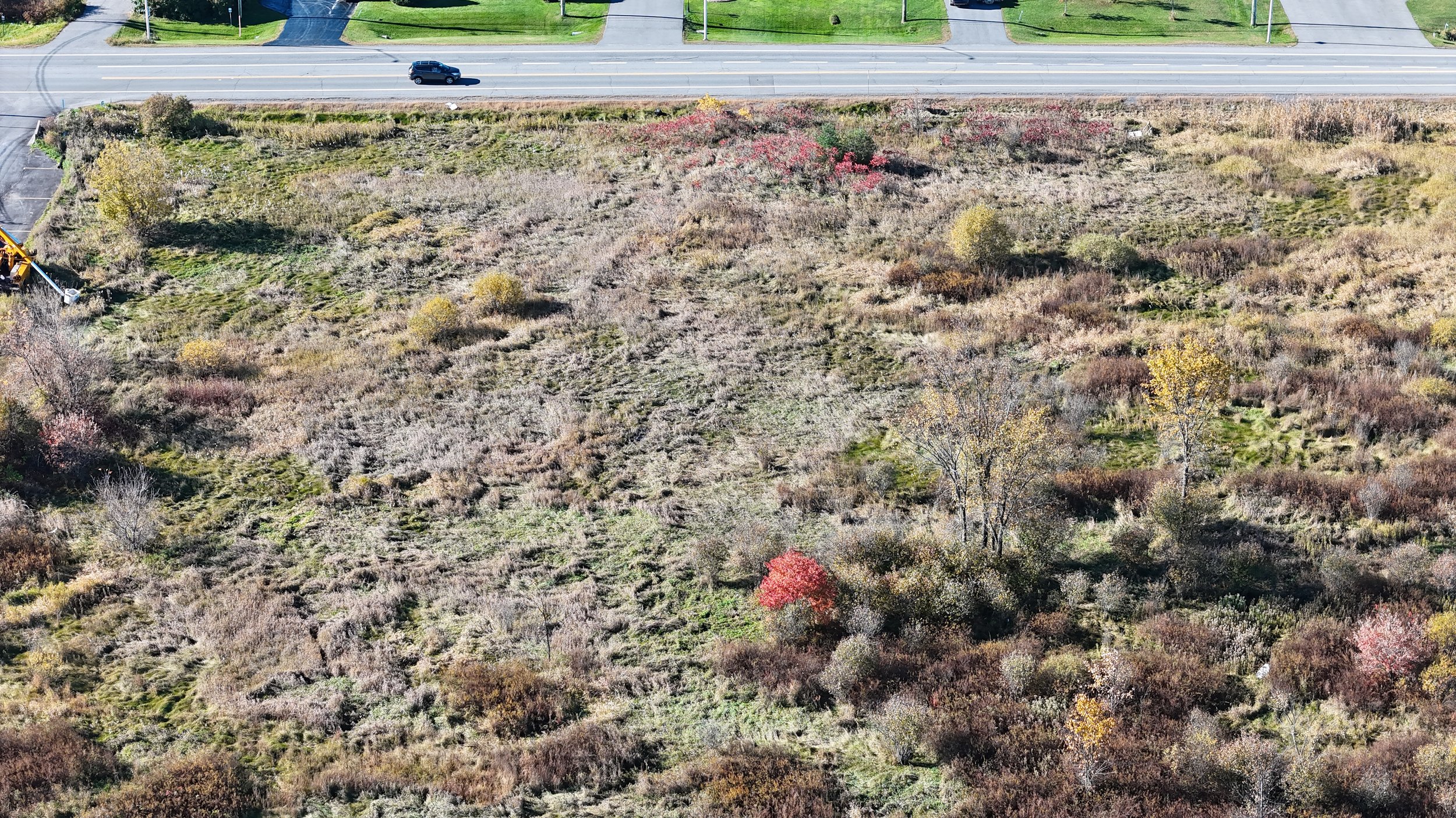 dji_fly_20261018_103524_0769_1792338610298_photo.jpg