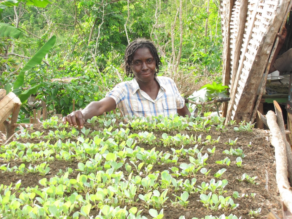 OPMAGAT farmer with cabbage