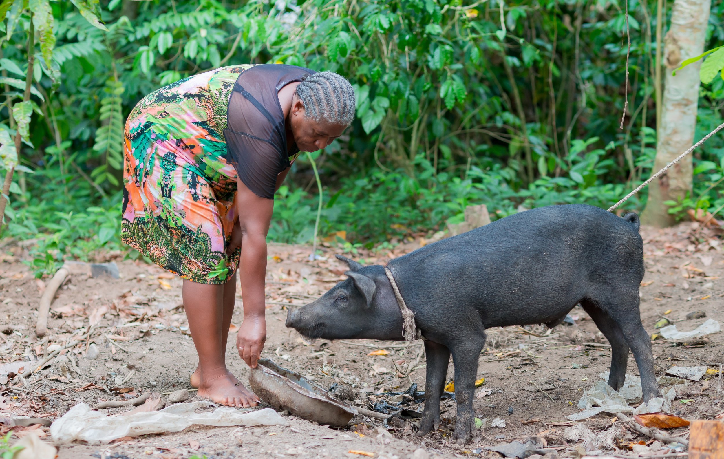 Clauselle, pig farmer and Avanse Ansanm graduate