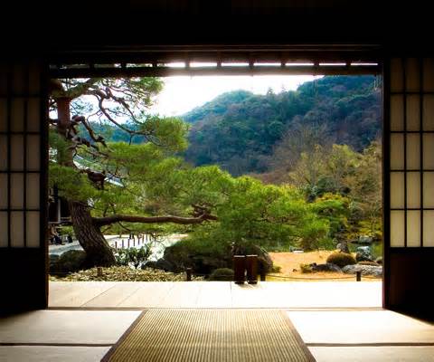Guided IMAGERY for healing addiction counseling trauma THERAPY