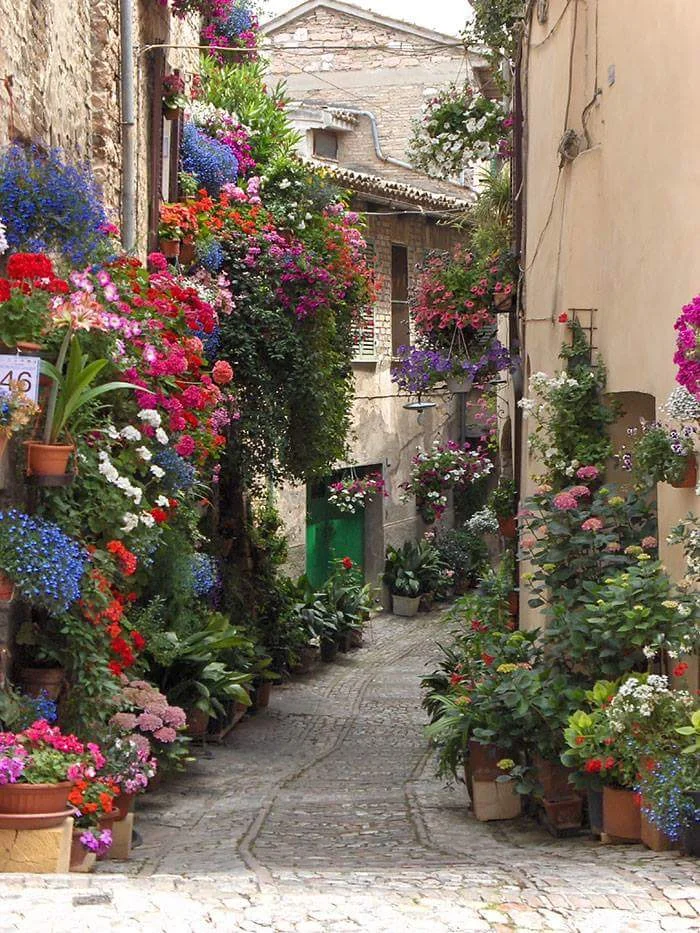 Italian Street.jpg