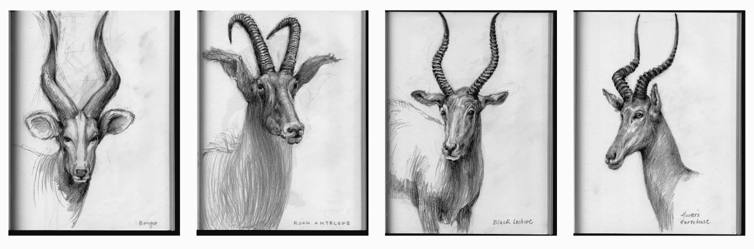 MyTurnToWearTheHorns5.jpg