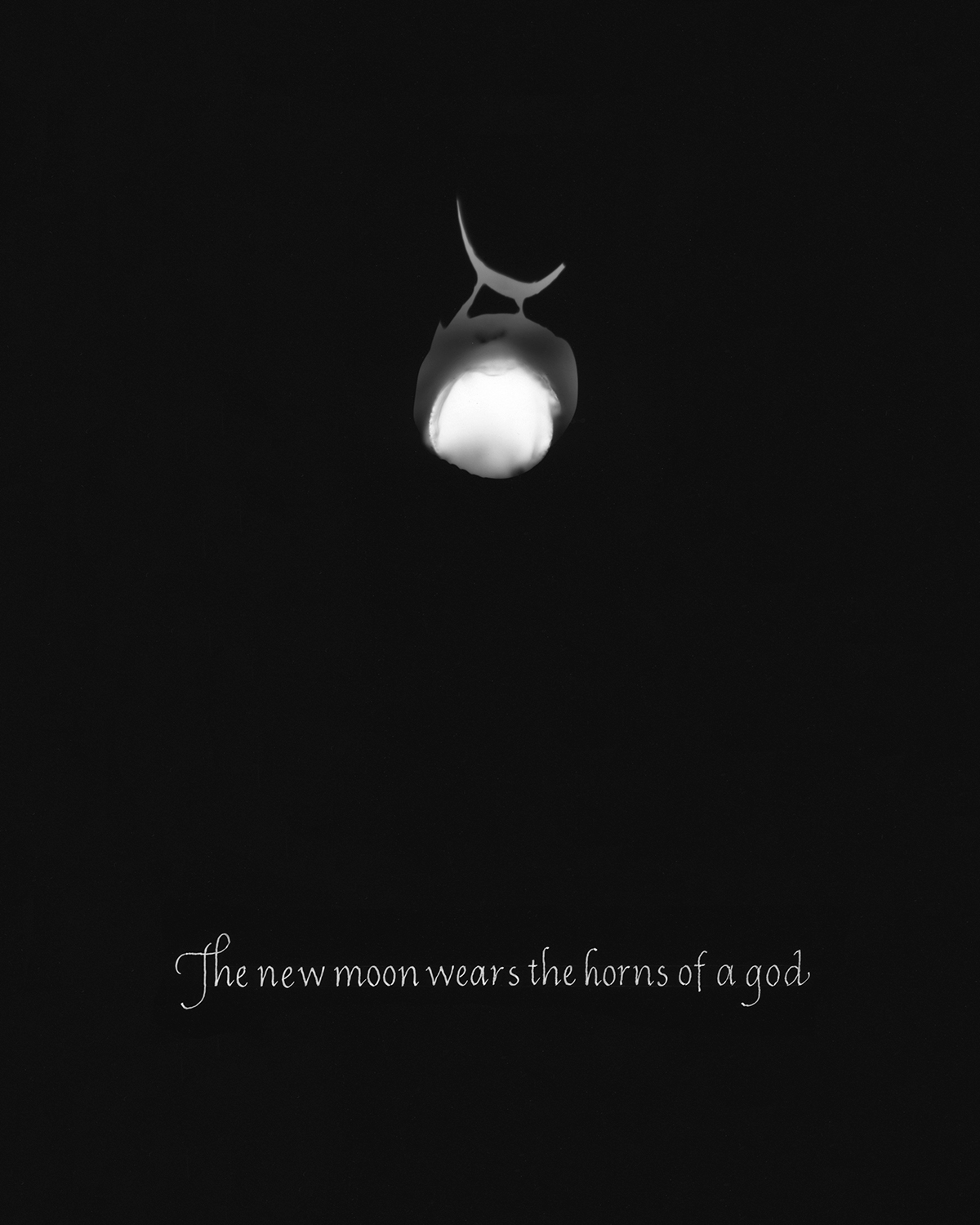 photogram, white ink