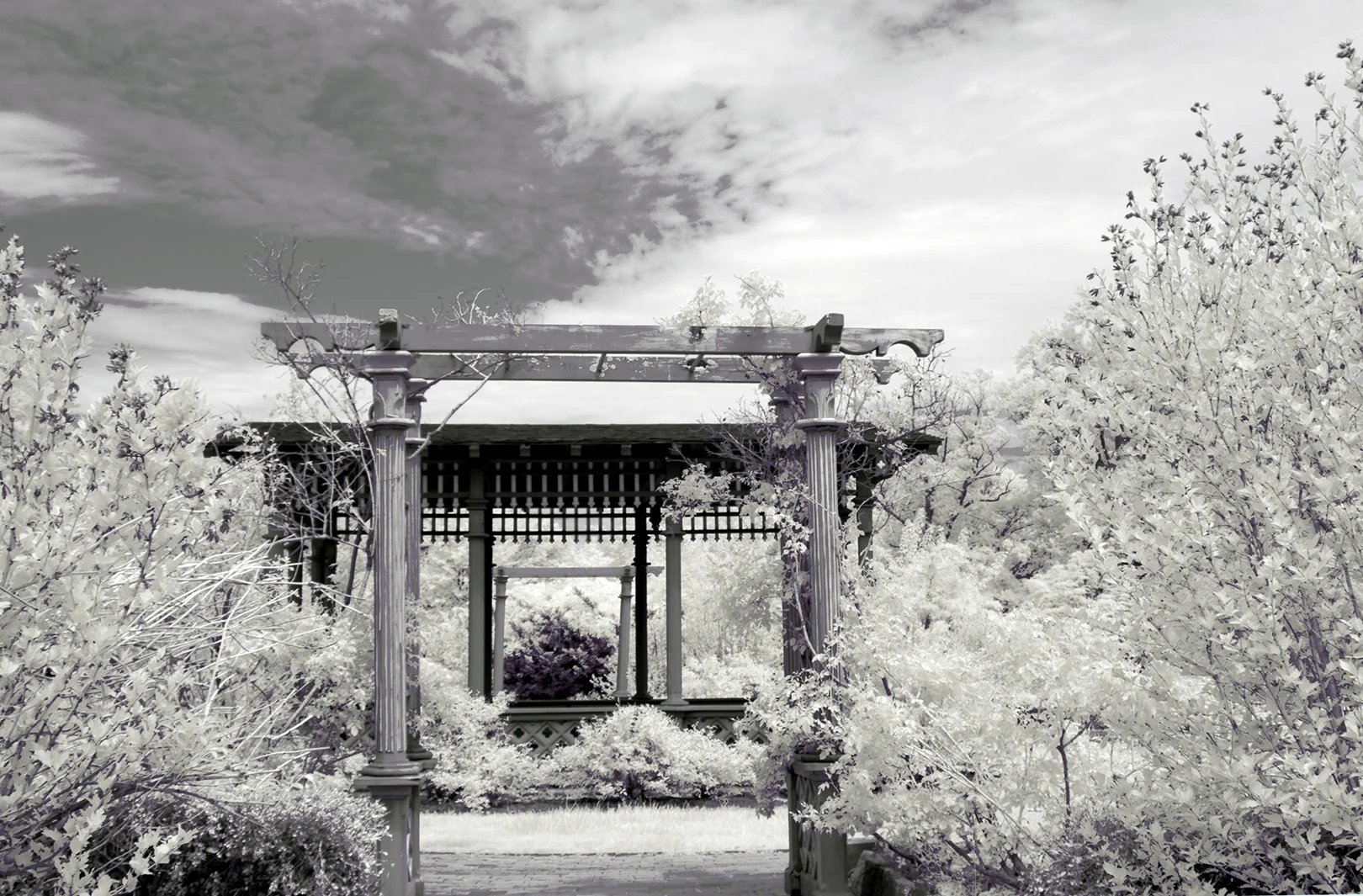 Through the Garden Pavillion