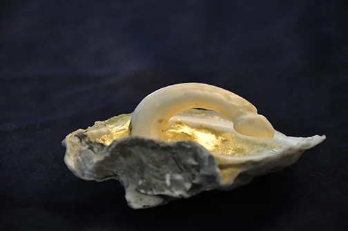 Objectification of Eros