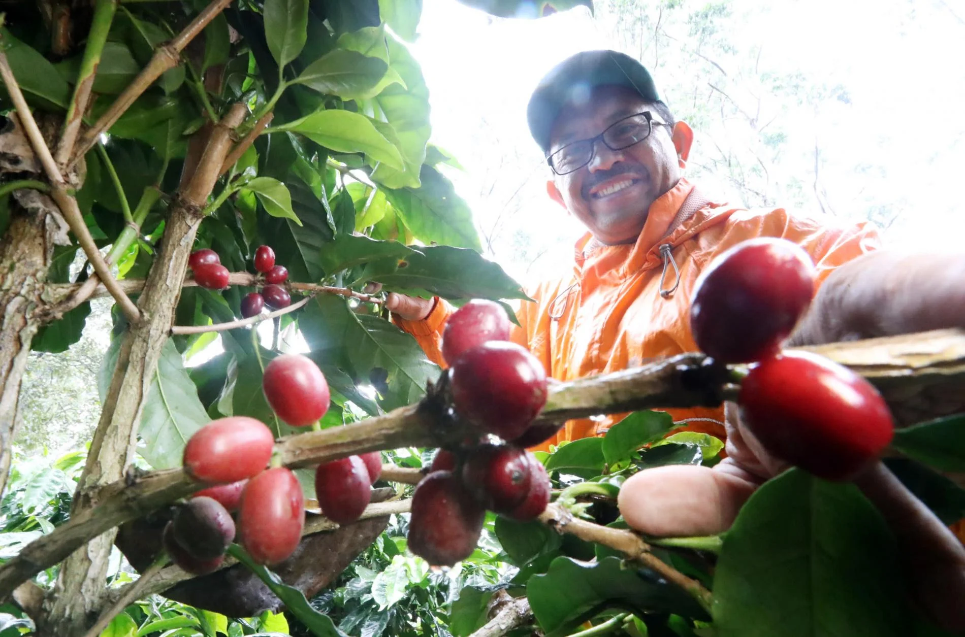 indonesia-java.jpg