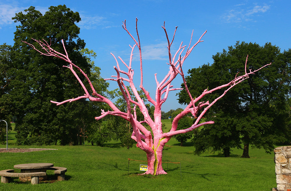 pink+art+tree_dylanmortimer.jpg