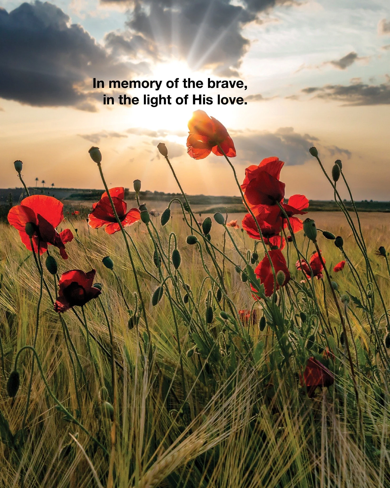 Lest we forget.
#remembranceday