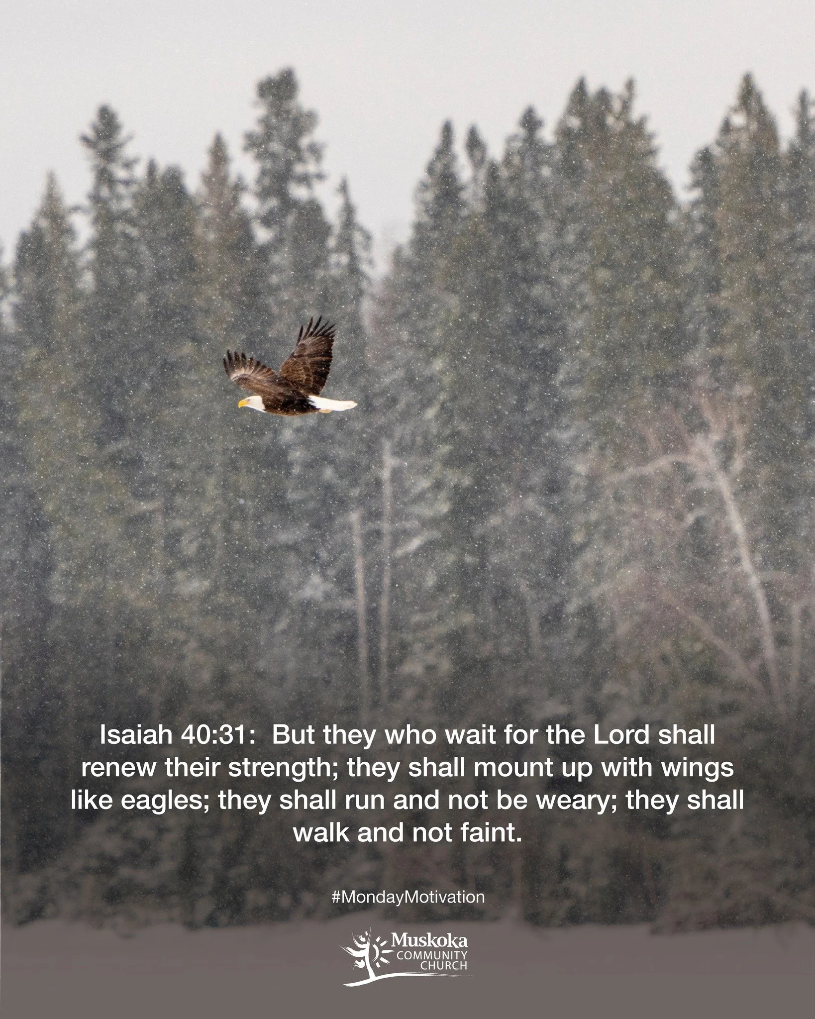 Isaiah 40:31:  But they who wait for the Lord shall renew their strength; they shall mount up with wings like eagles; they shall run and not be weary; they shall walk and not faint. 

#MotivationMonday #MuskokaCommunityChurch #Muskoka #PortSydneyOnta