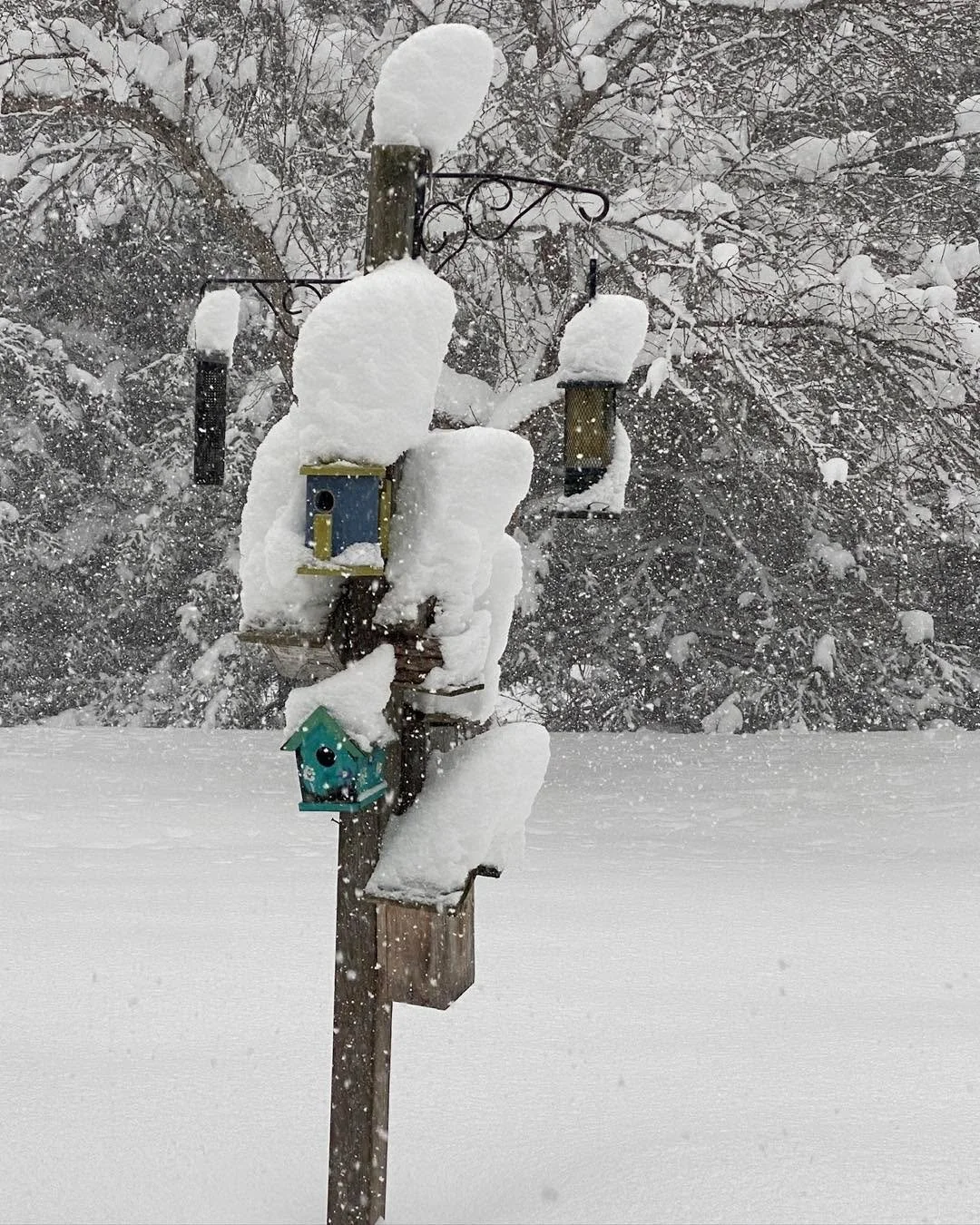 Toddler Time s cancelled today as school buses aren&rsquo;t running! Stay warm and safe!  See you next week!