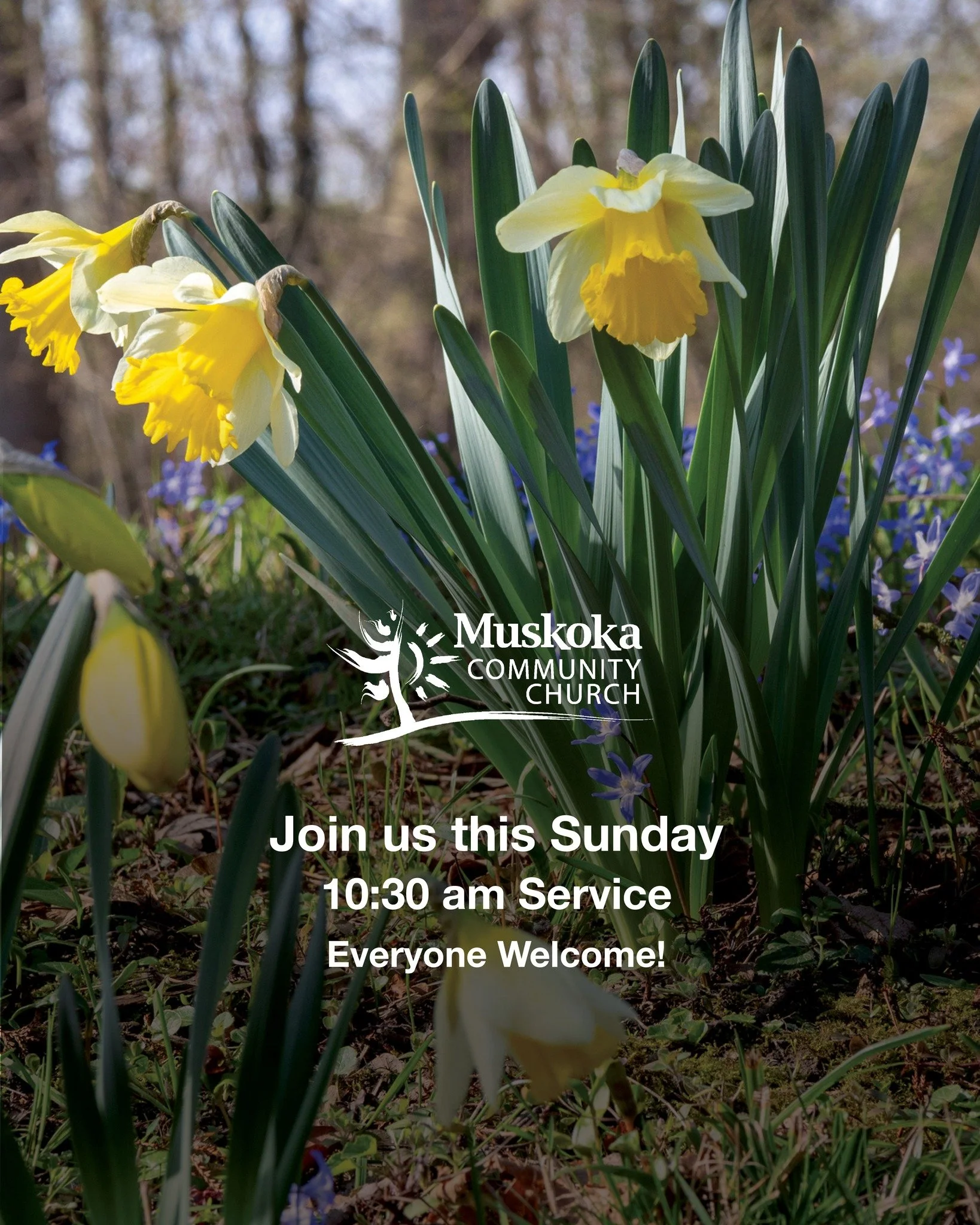 SUNDAY SERVICE 10:30am
Everyone Welcome! 

Our services are informal and upbeat, with sermons that are down-to-earth and applicable to our daily lives. Our beliefs and practices are rooted in the teachings of the Bible, the life of Jesus, and the pow