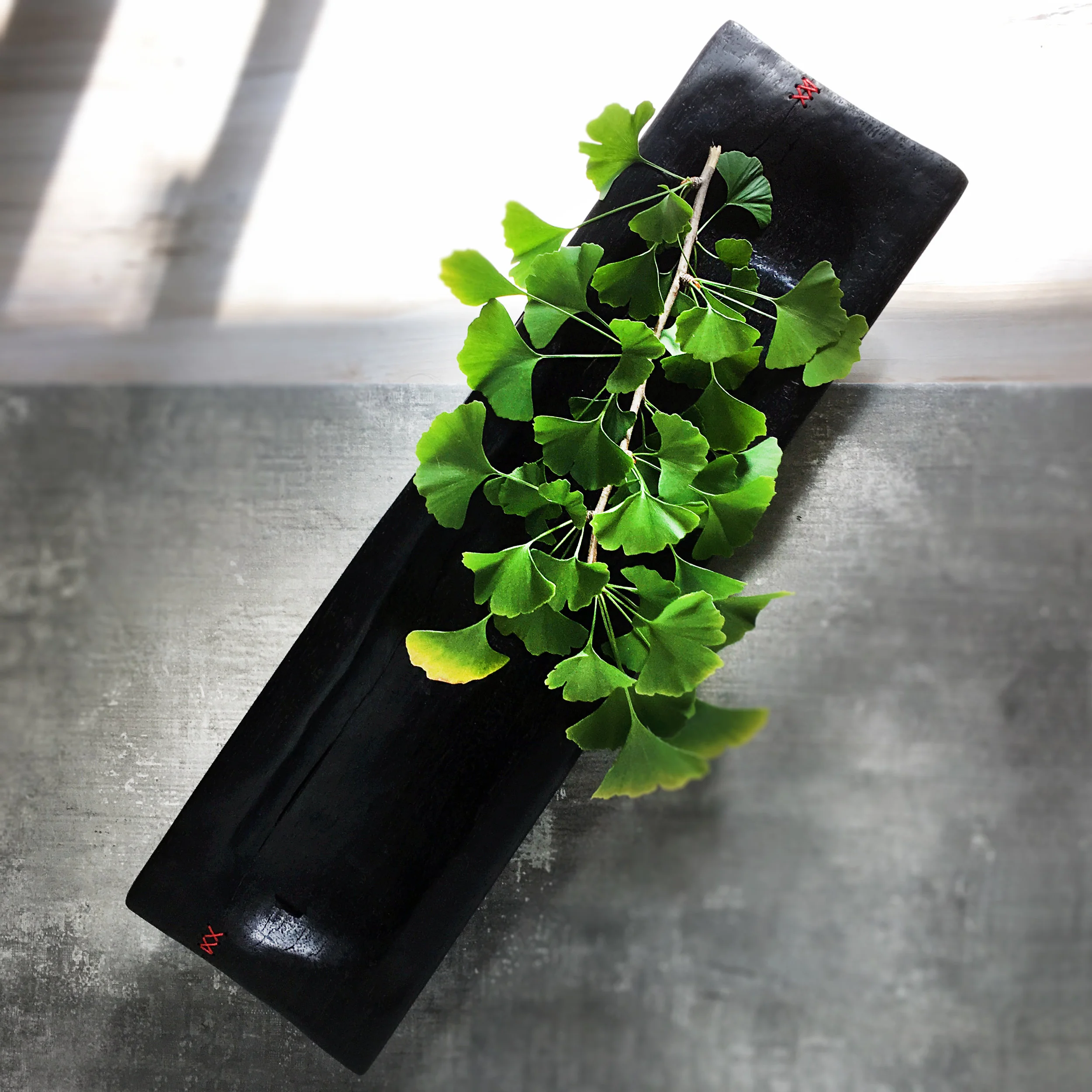 Padauk Ginko.jpg