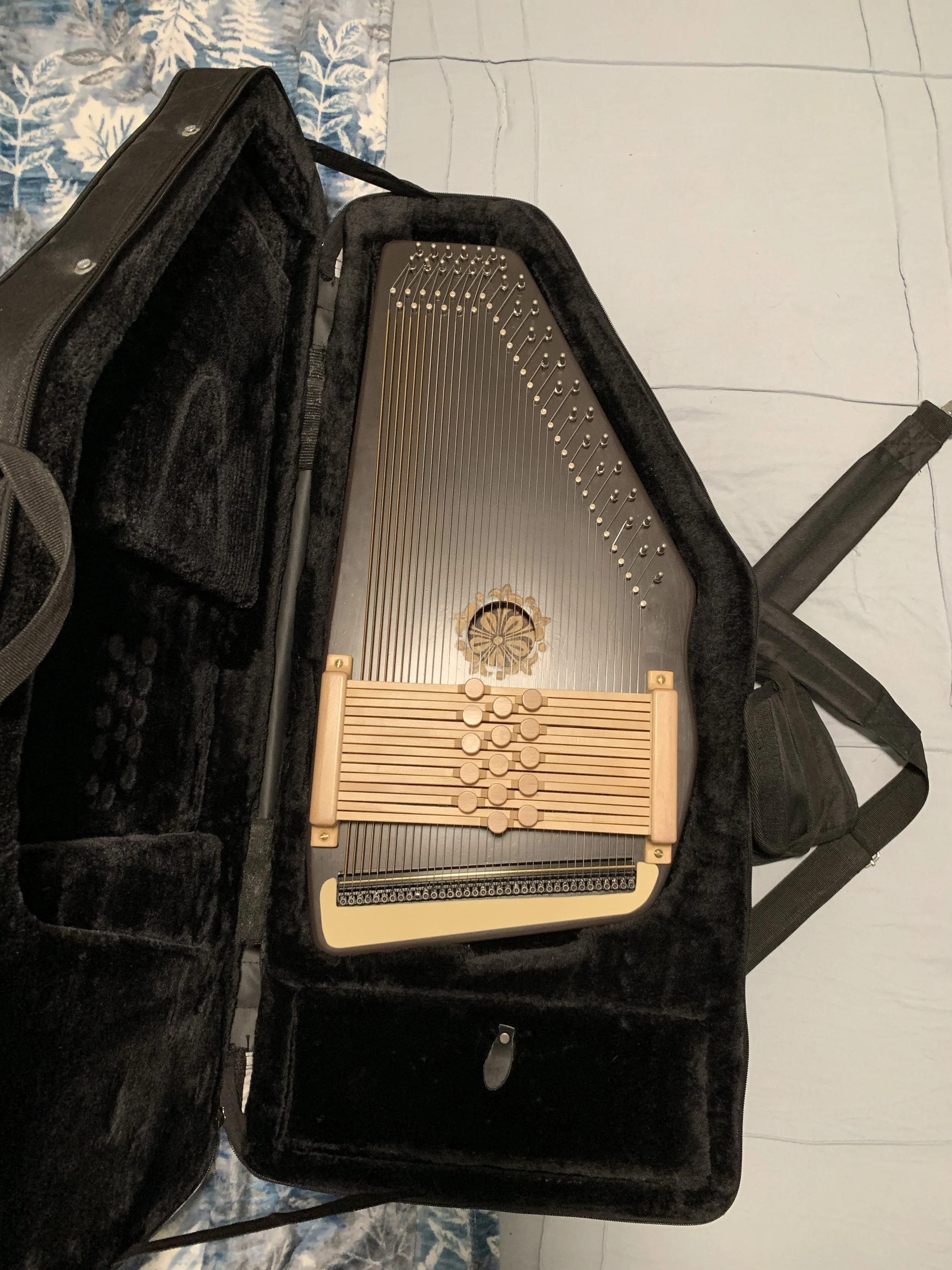 G Diatonic Autoharp with case — Autoharpist LLC