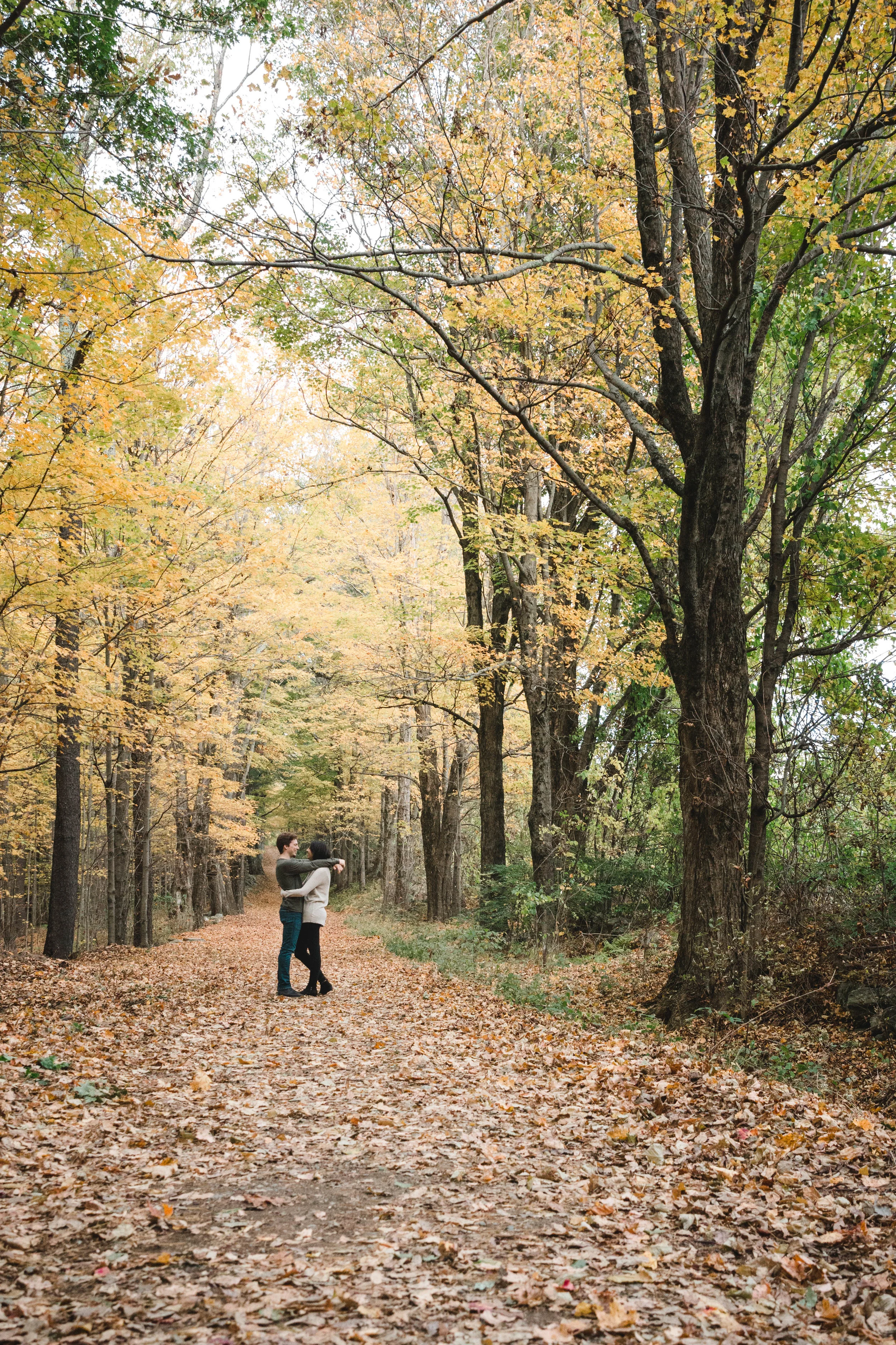 couple hugging in fall foliage tree lined pathway