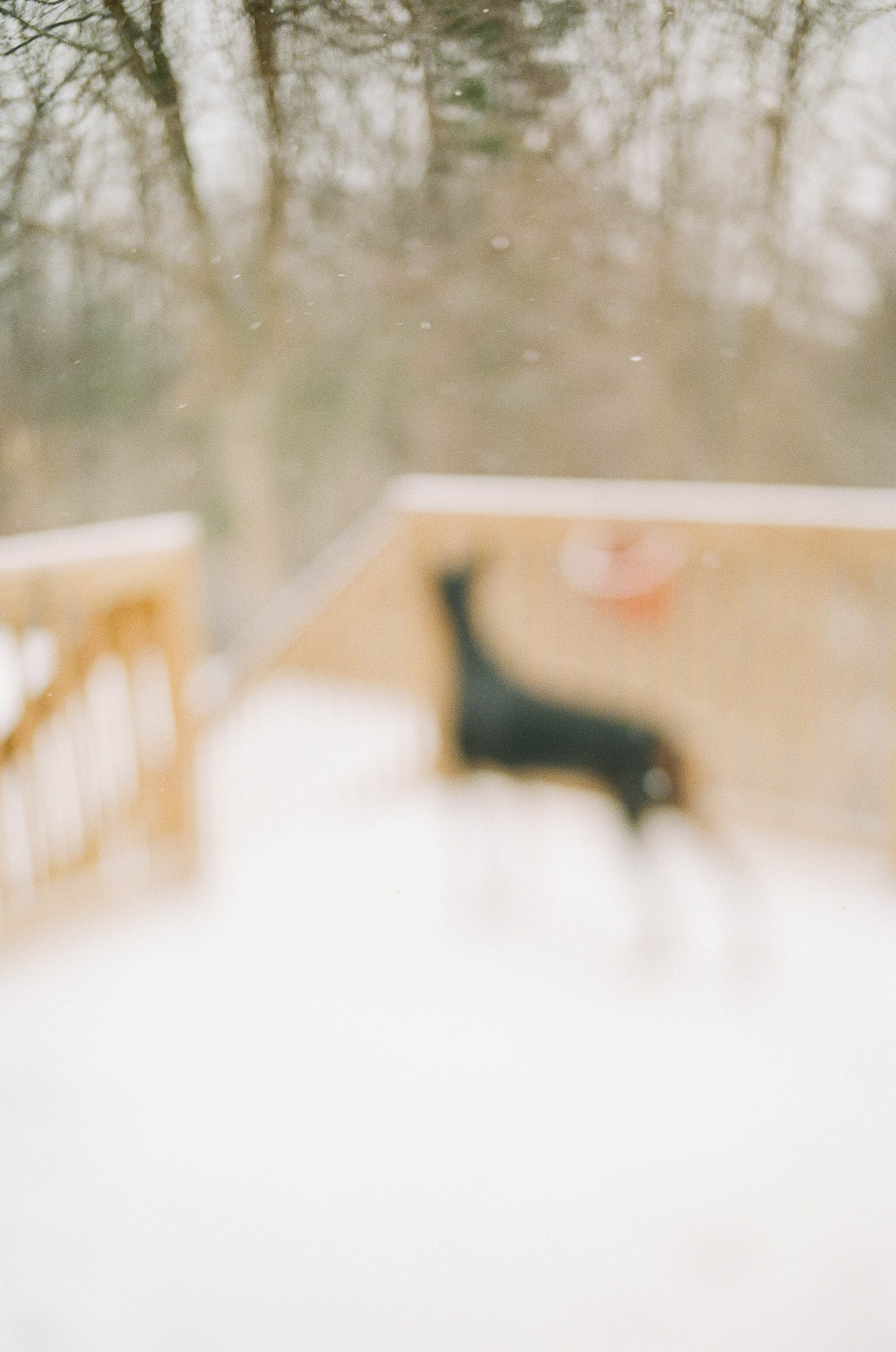 surprise snow squall