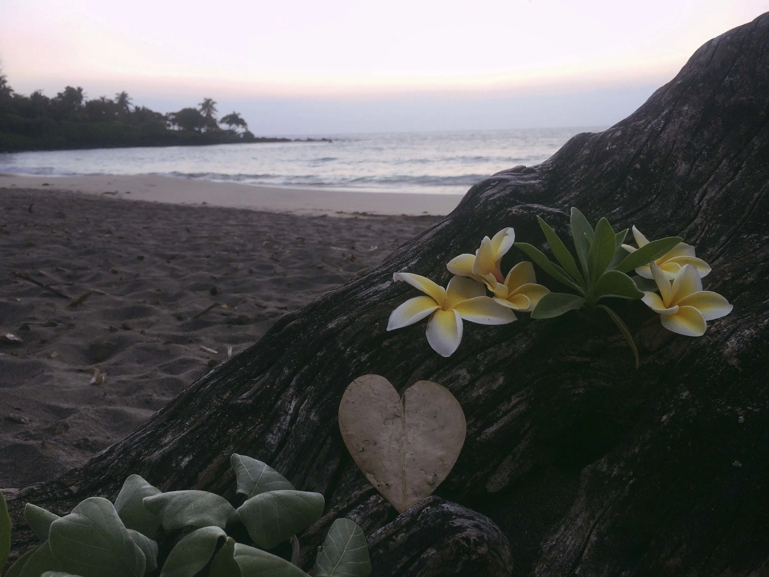 What we need right now...