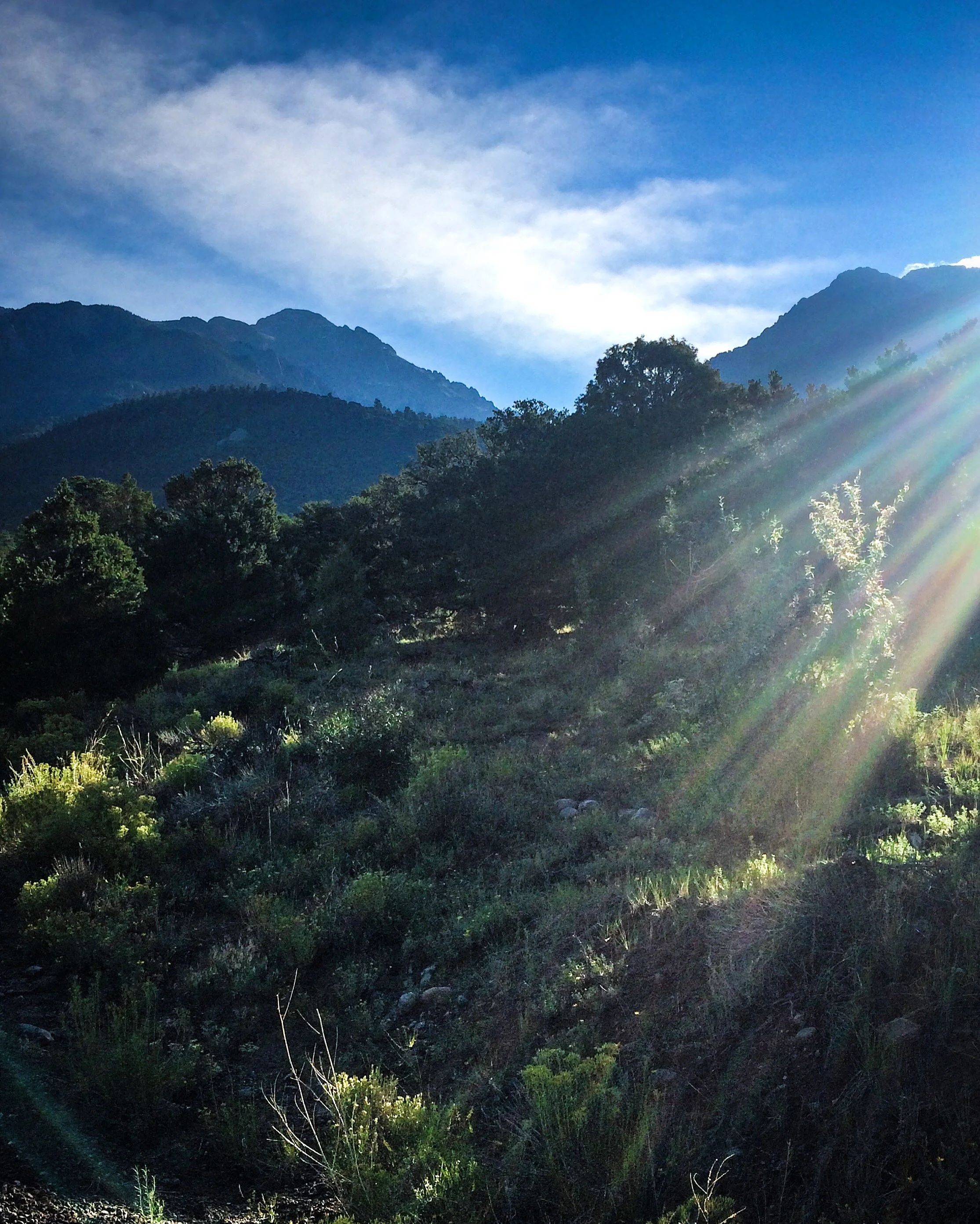 On The Pulse Of Morning  (Happy Earth Day!)