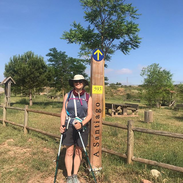 Still a way to go but I&rsquo;m making progress! Such a wonderful journey... #caminodesantiago #camino #caminofrances2019