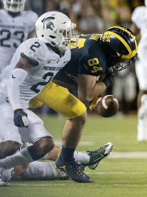 The truth about the pain of being a Michigan fan 