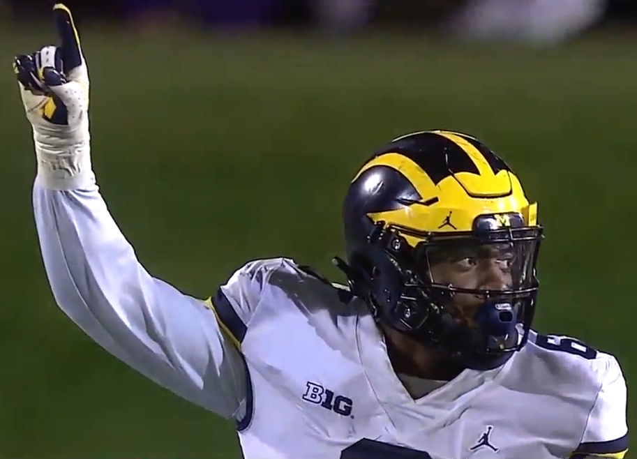 Misery equals happiness for many Michigan fans