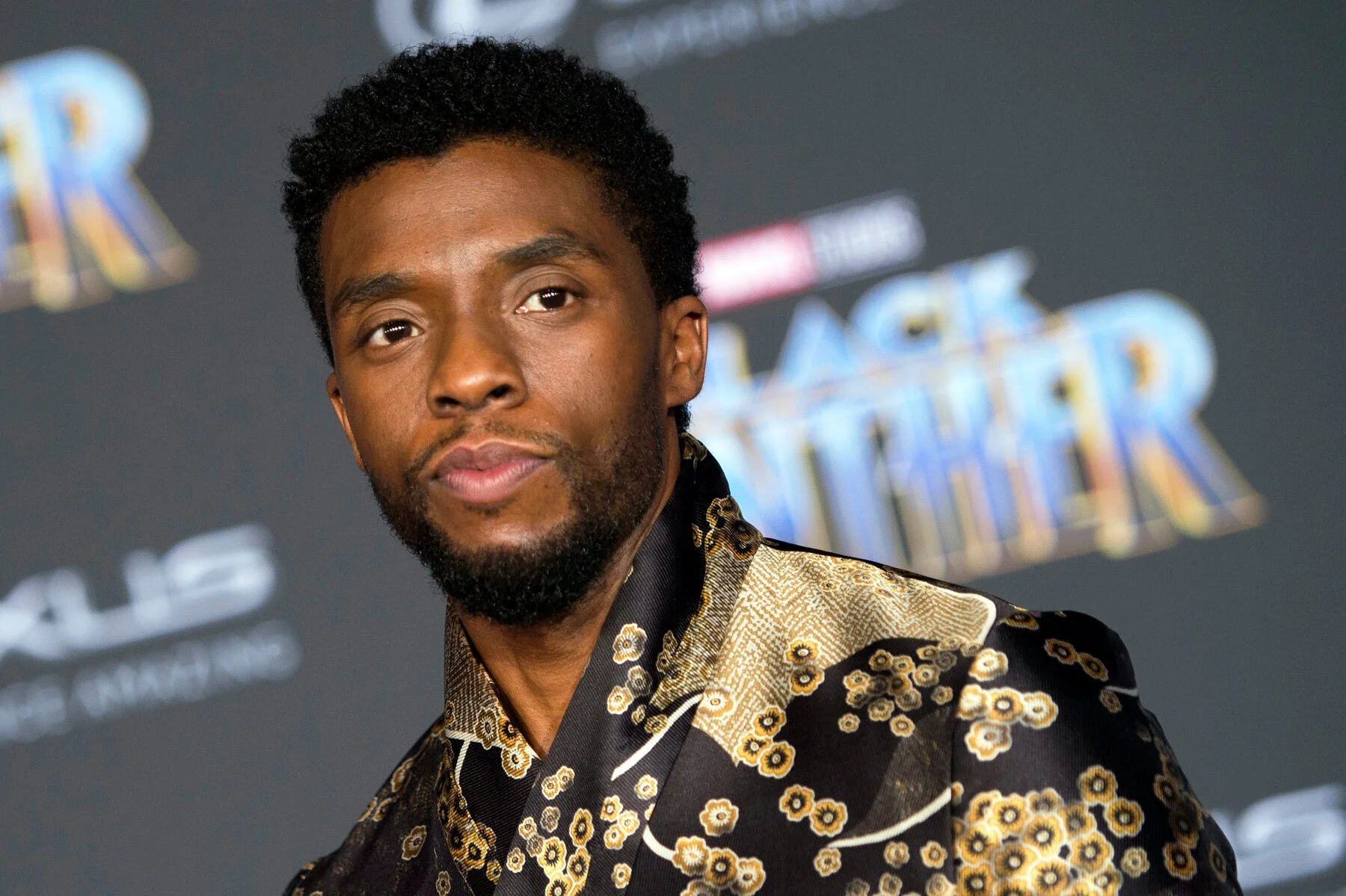 IN MEMORIAM: Chadwick Boseman (1977-2020)