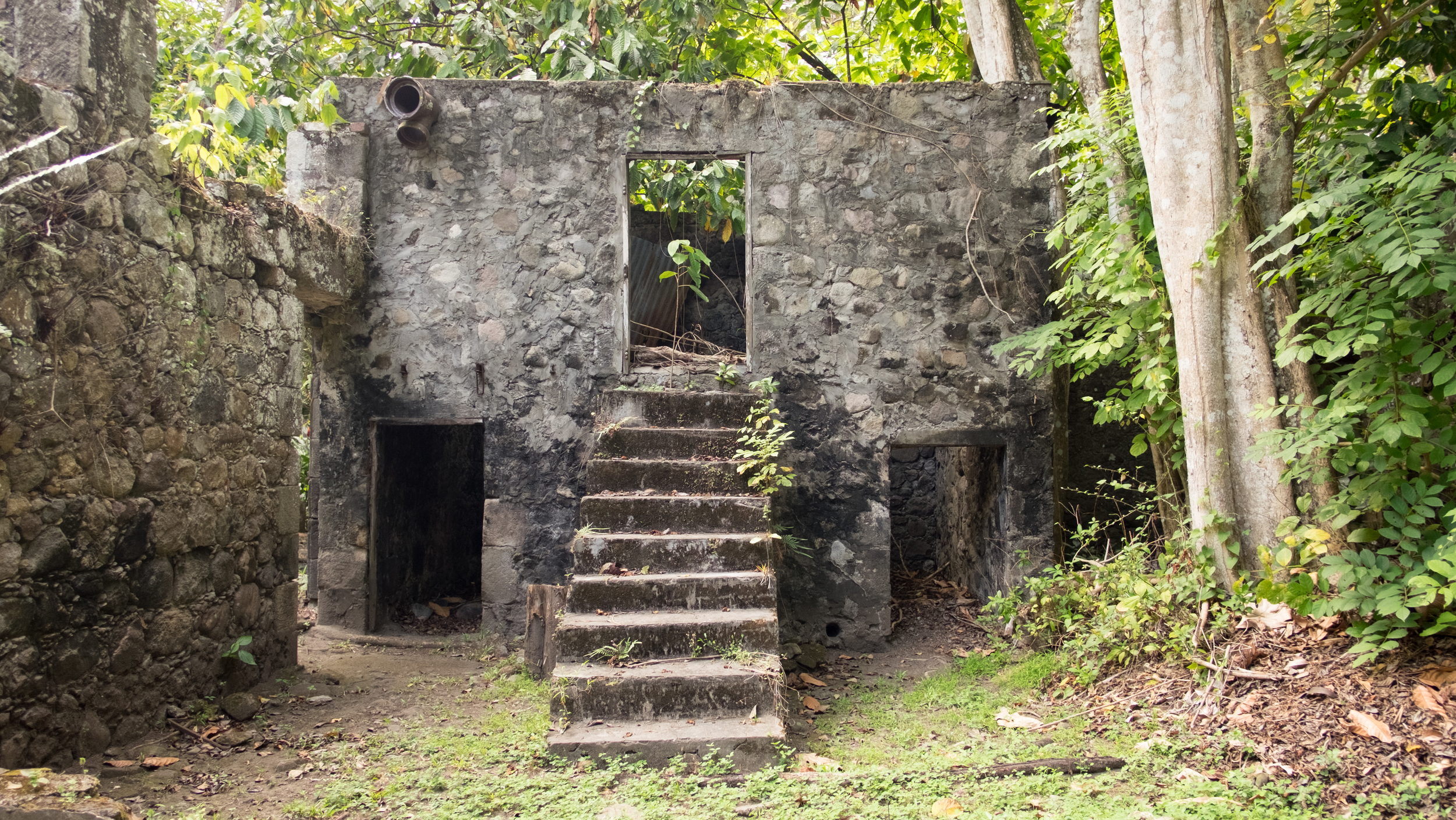 In the building on the left the horses or mules lived below and the slaves lived above up these stairs.