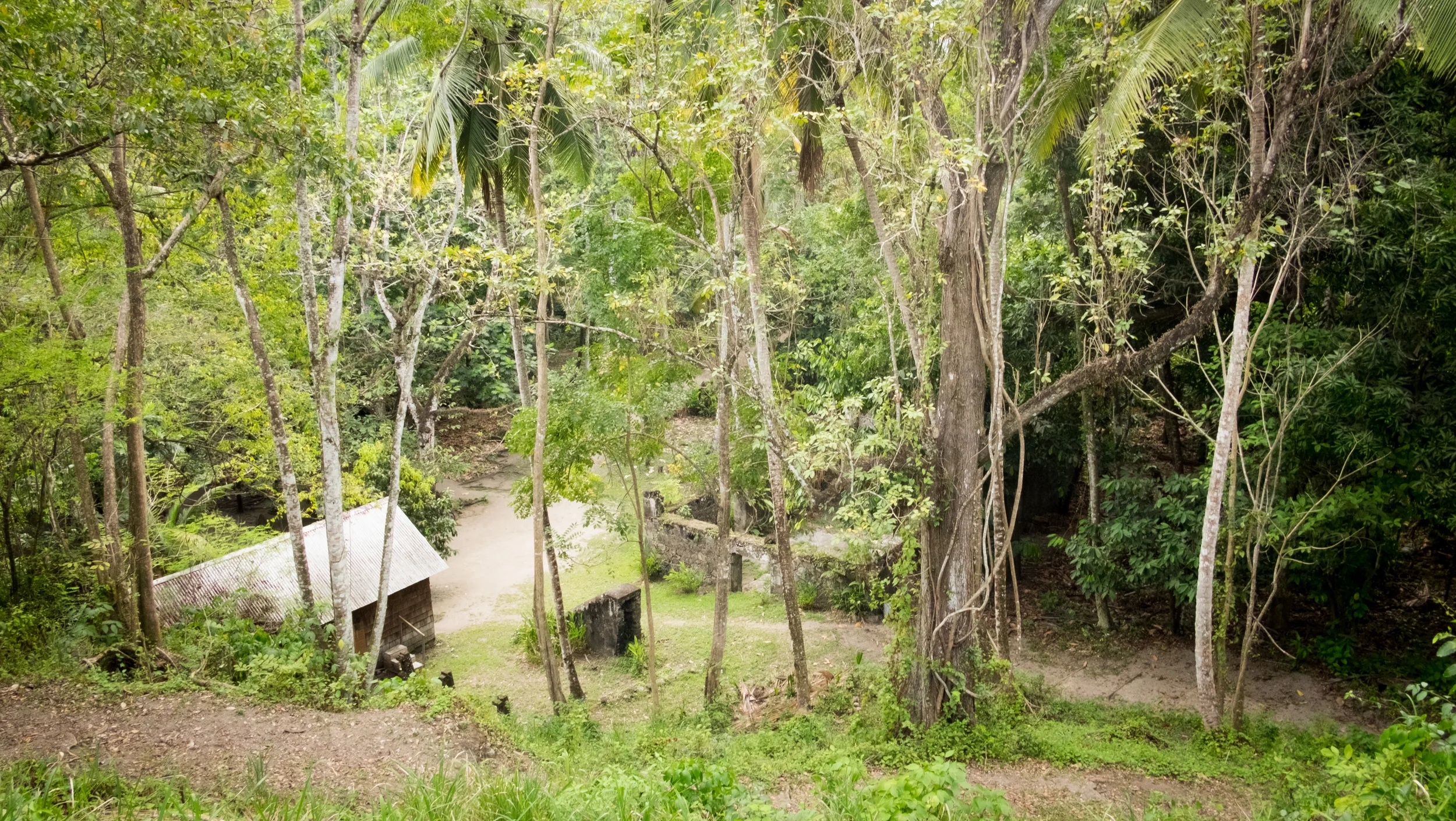 The view from the plantation house to the workers below.